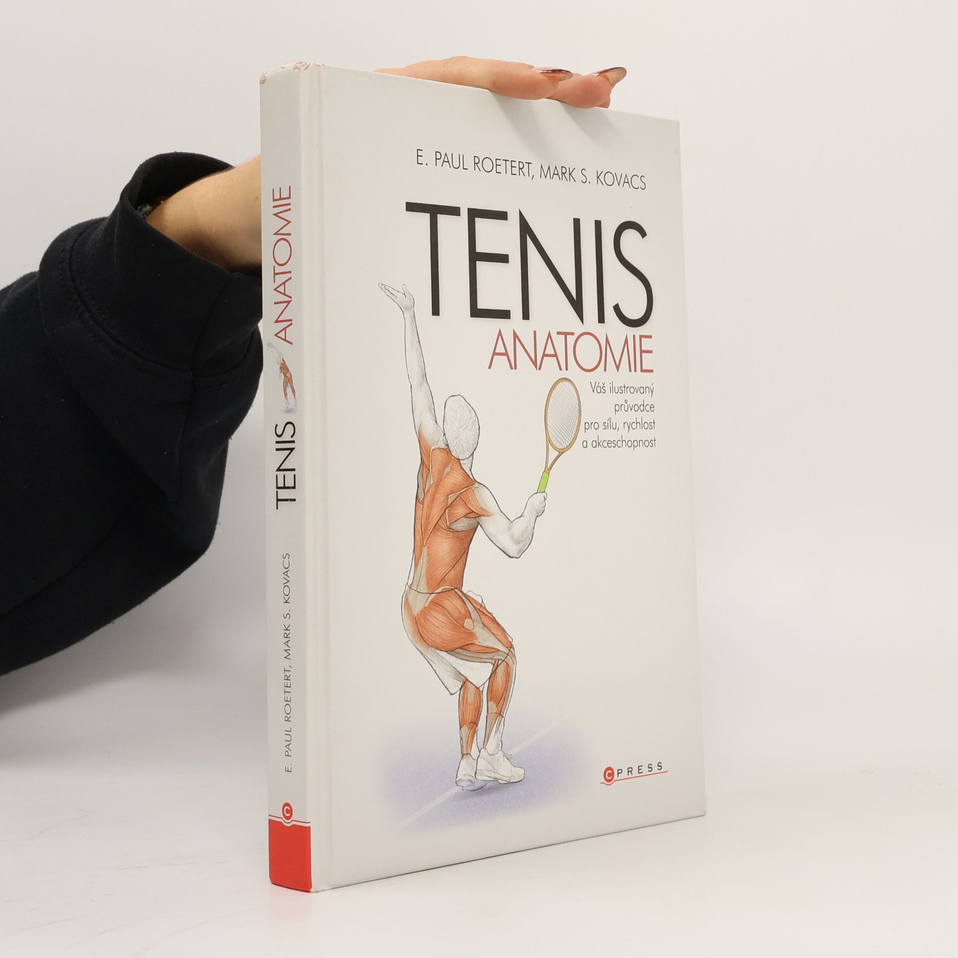 Tenis: Anatomie