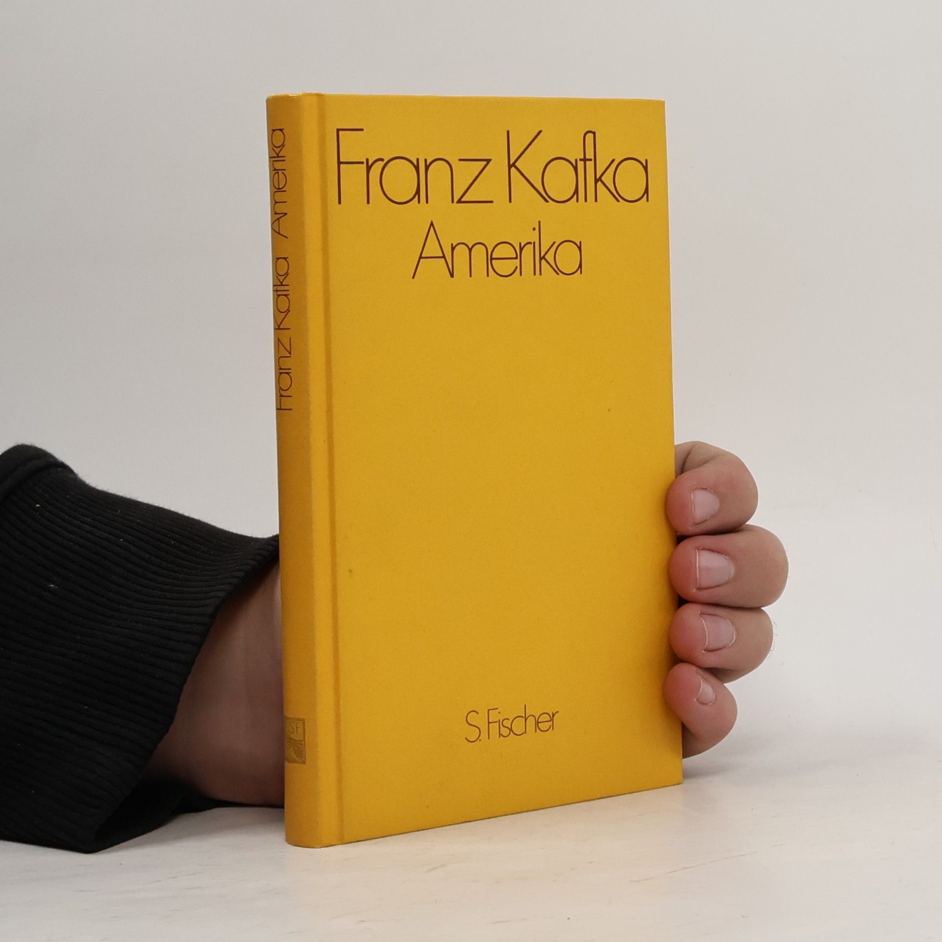 Franz Kafka Amerika