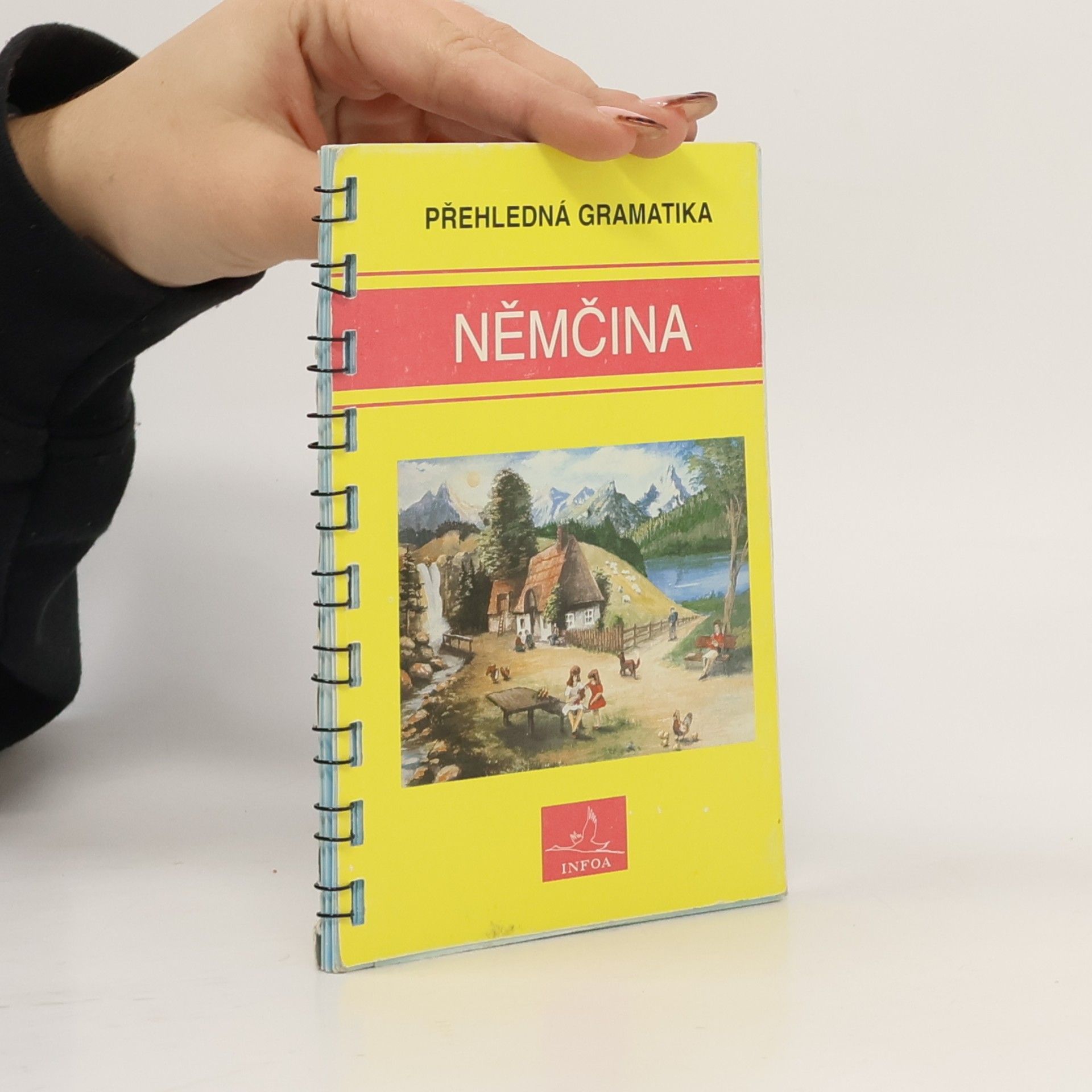 Němčina. Přehledná gramatika