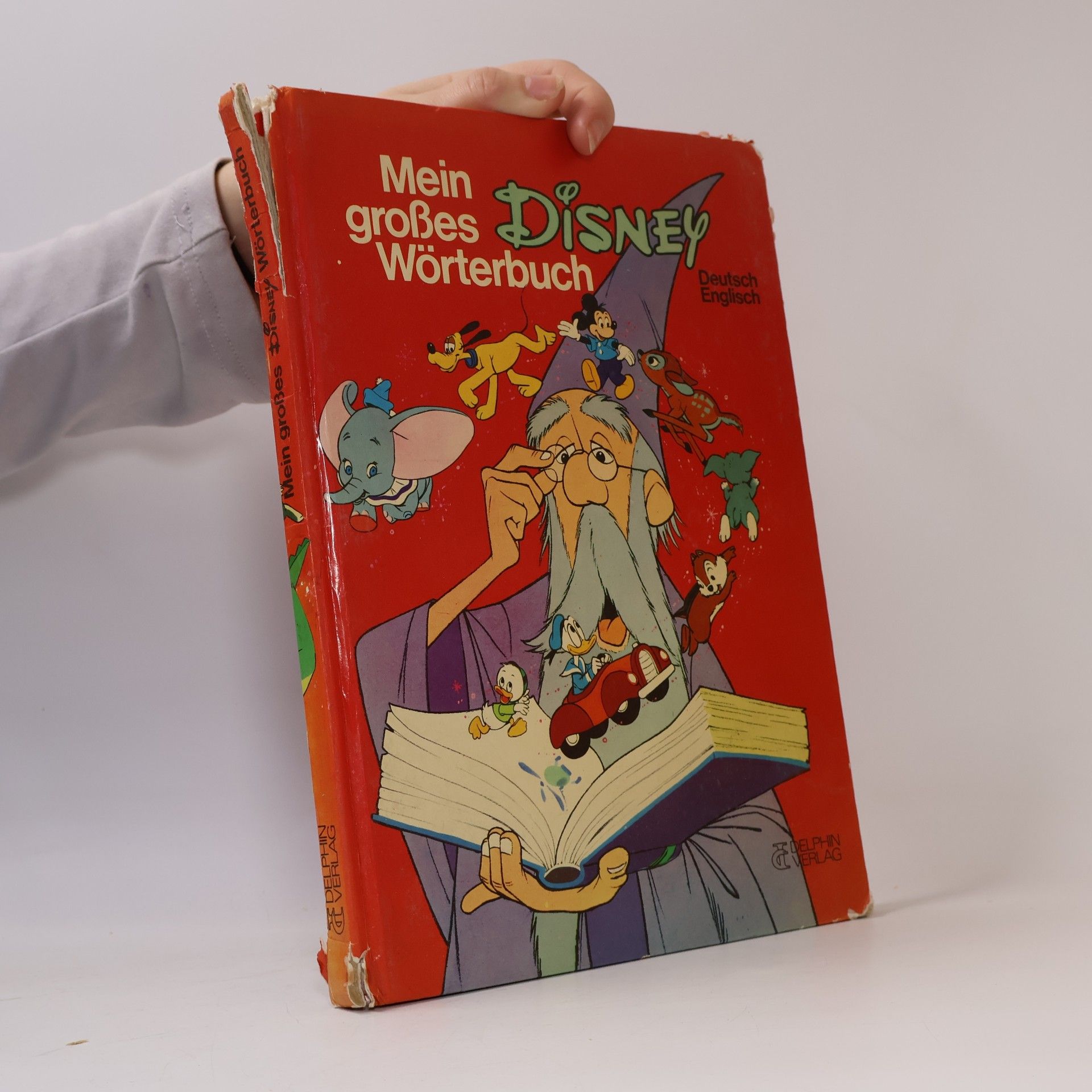 Kolektiv autorů Mein großes Disney Wörterbuch