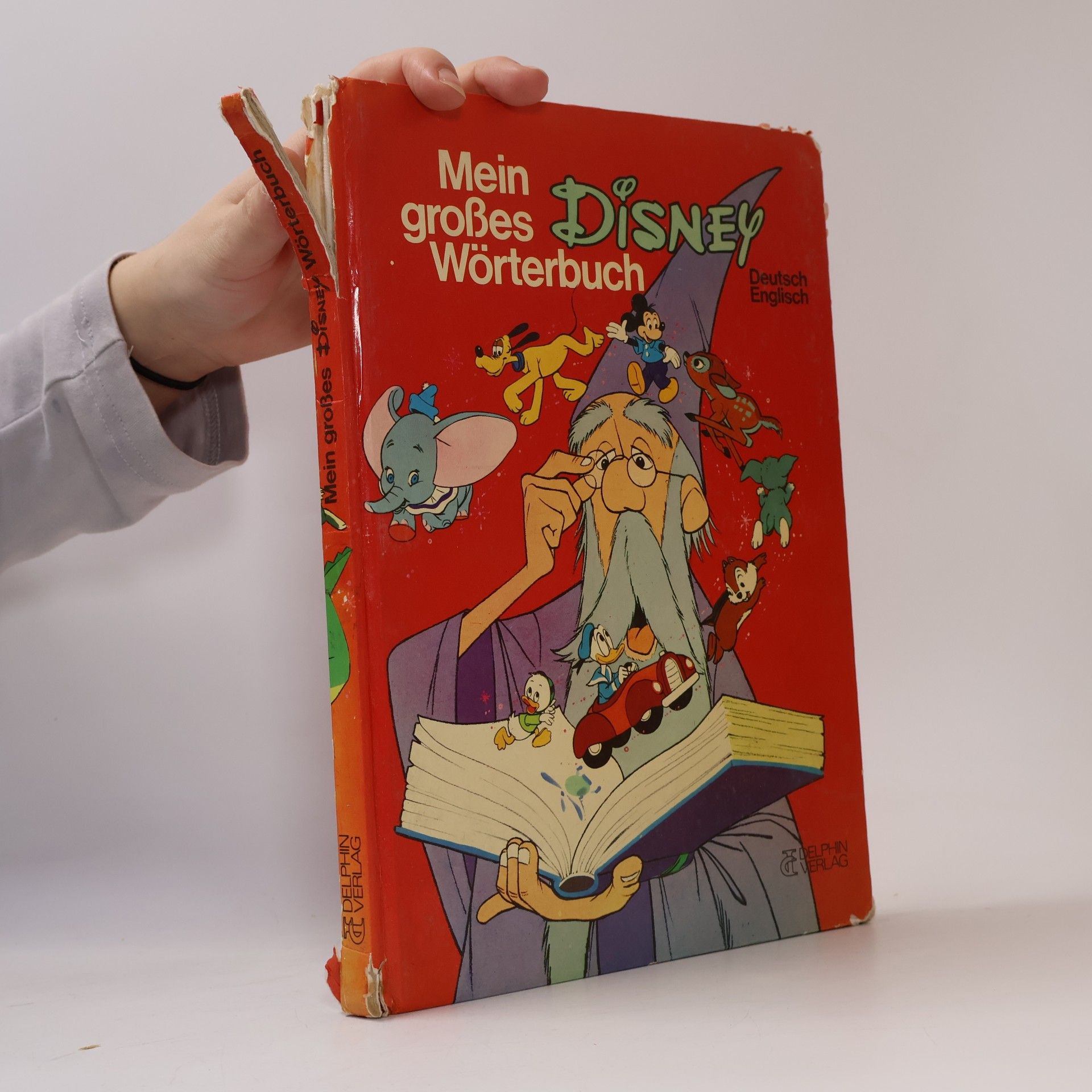 Kolektiv autorů Mein großes Disney Wörterbuch