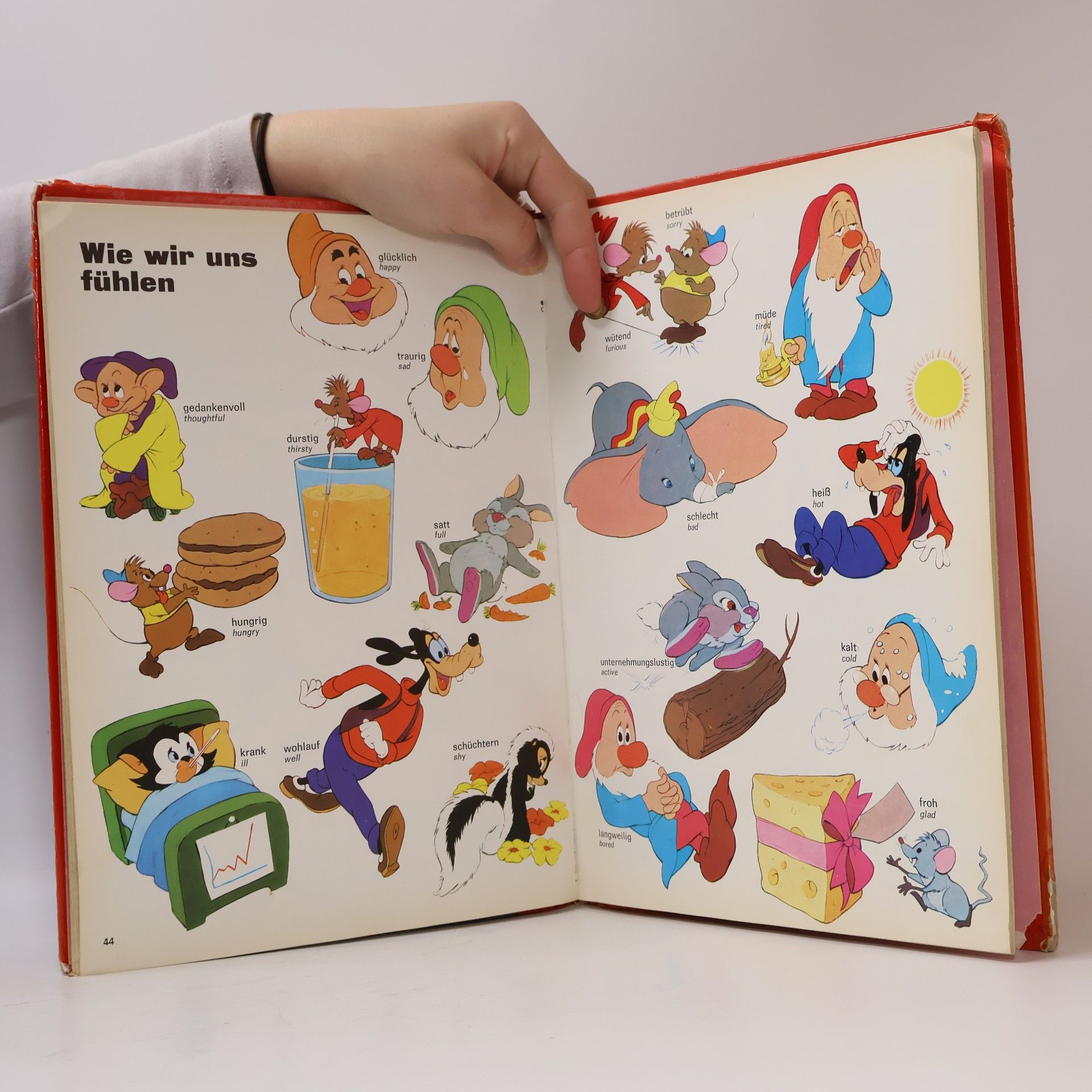 Kolektiv autorů Mein großes Disney Wörterbuch