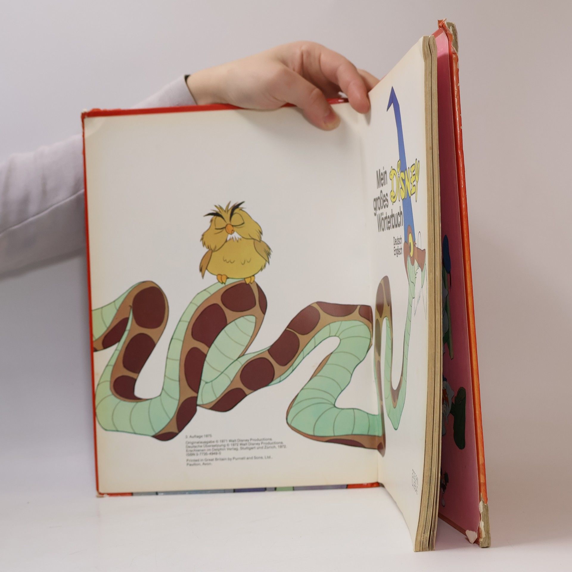 Kolektiv autorů Mein großes Disney Wörterbuch