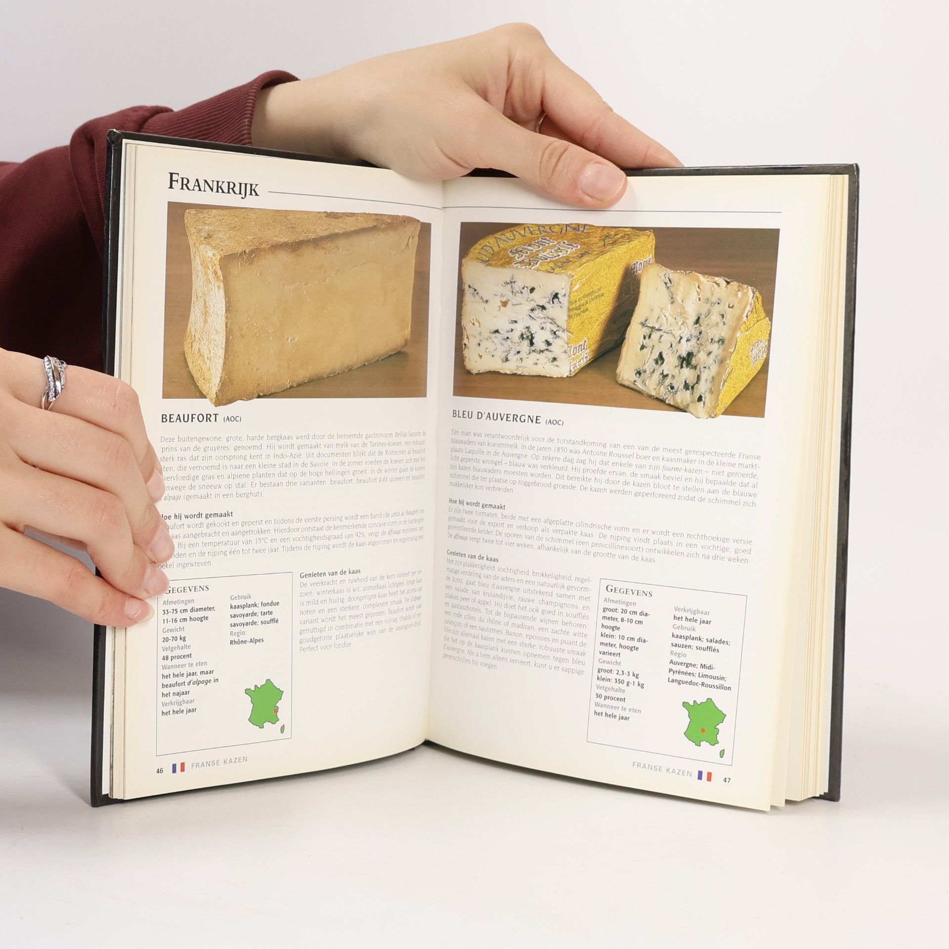 Leonie Glass Handboek voor de lekkerste kazen van Europa