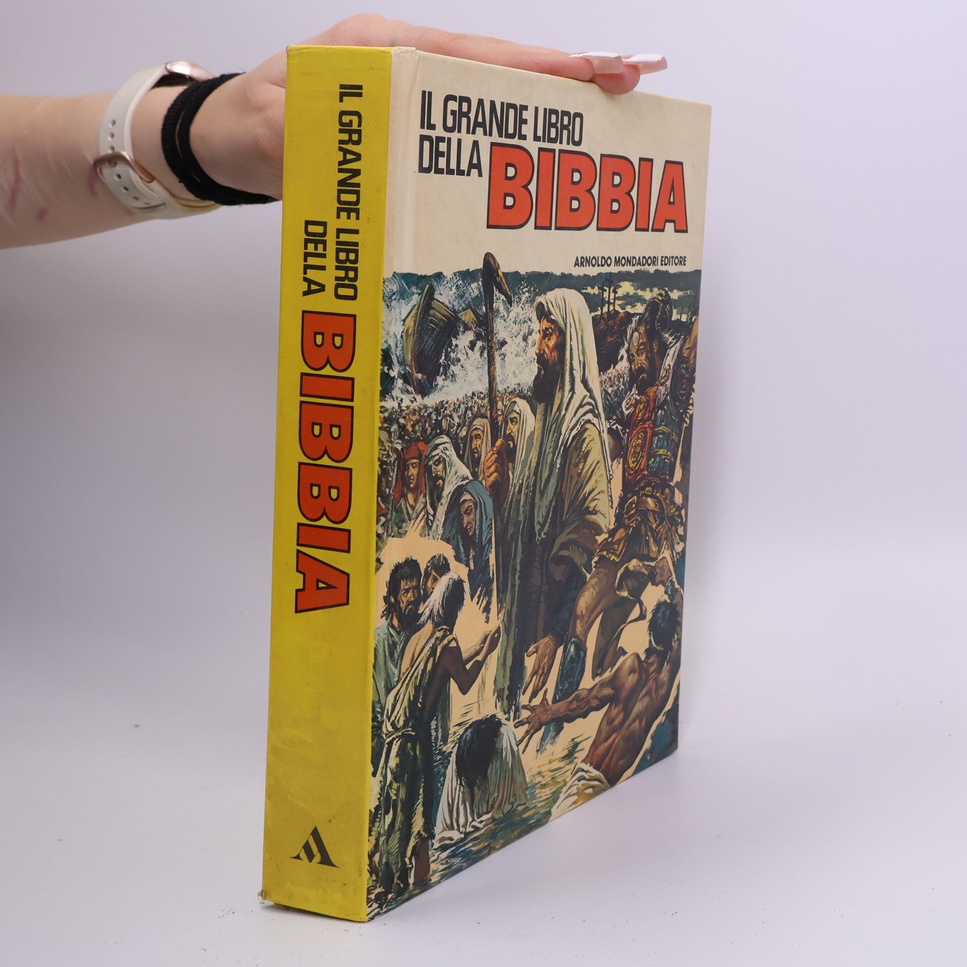 Various authors Il grande libro della Bibbia