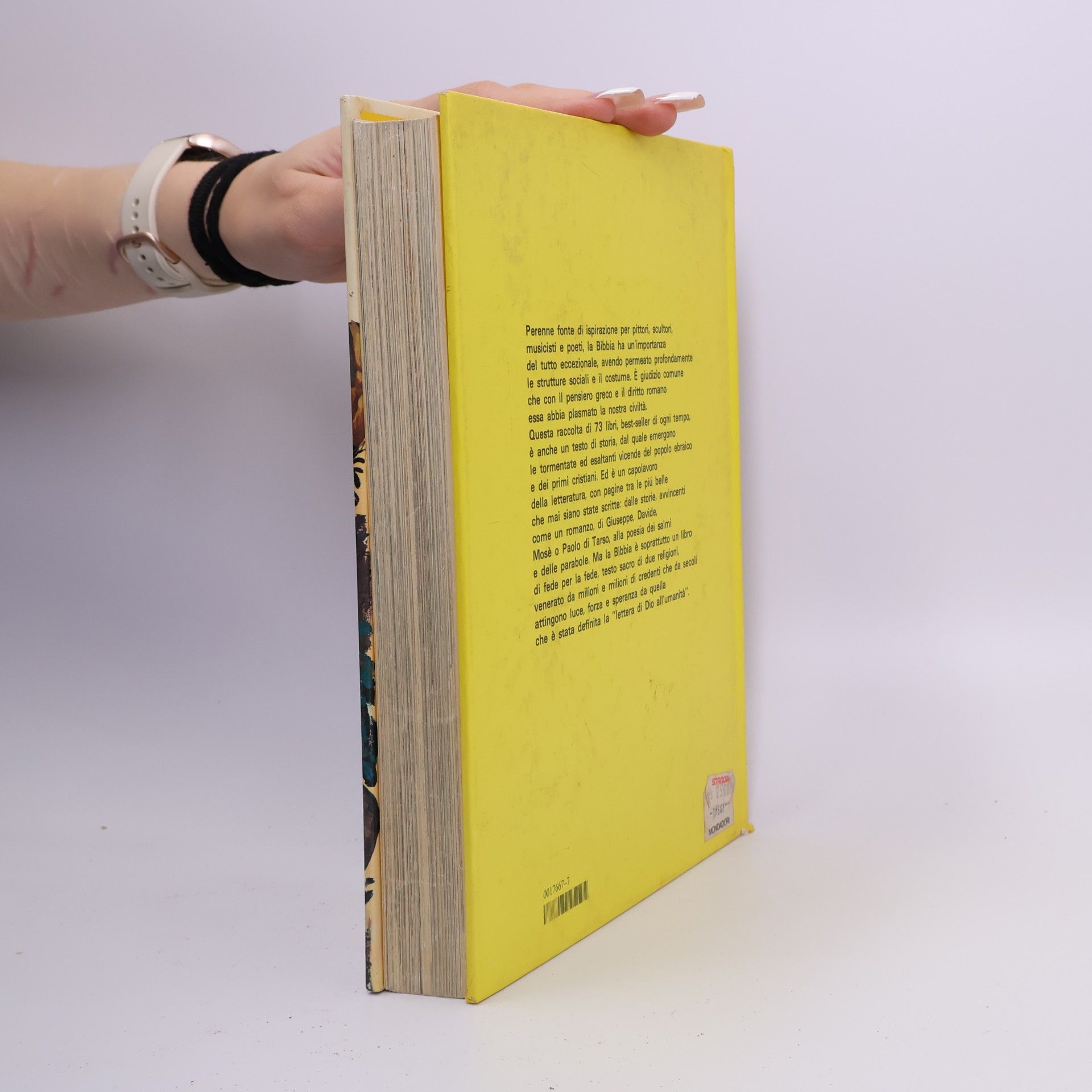 Various authors Il grande libro della Bibbia