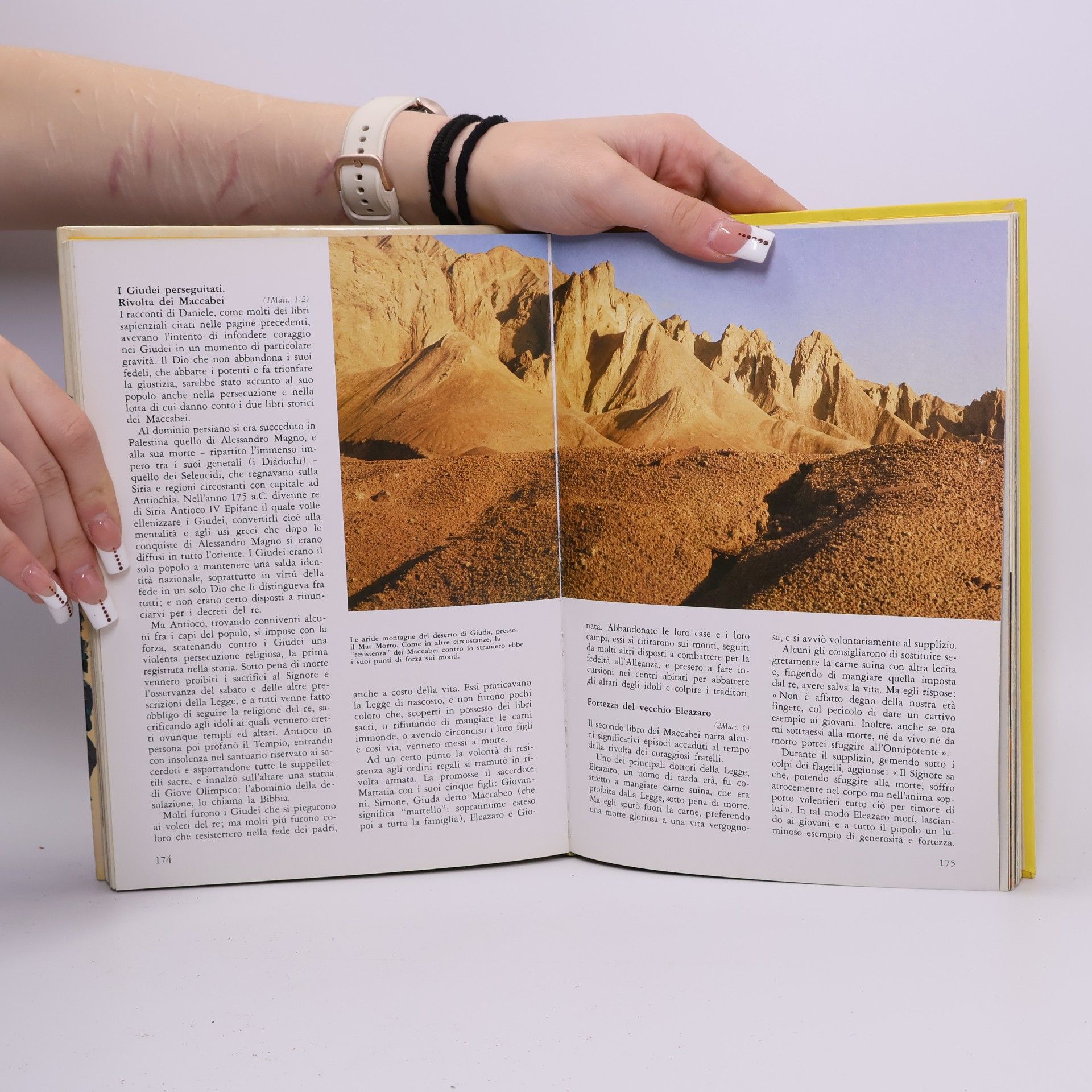 Various authors Il grande libro della Bibbia