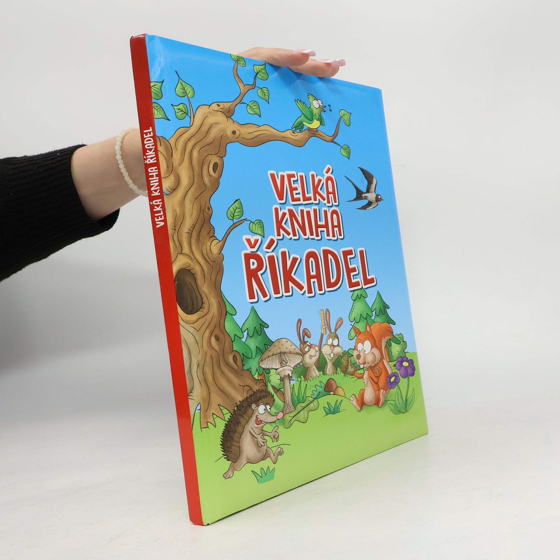 Kolektiv autorů Velká kniha říkadel