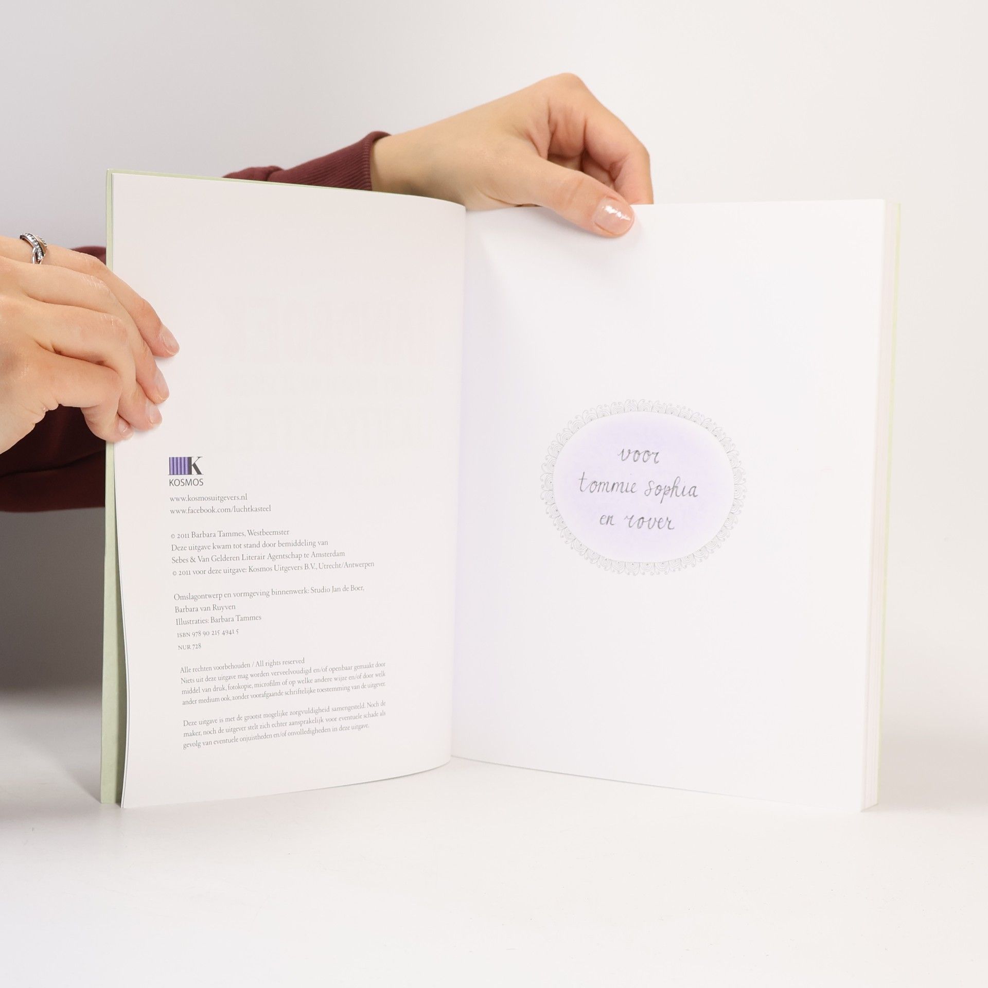 Barbarsa Tammes Handboek voor het bouwen van je eigen luchtkasteel