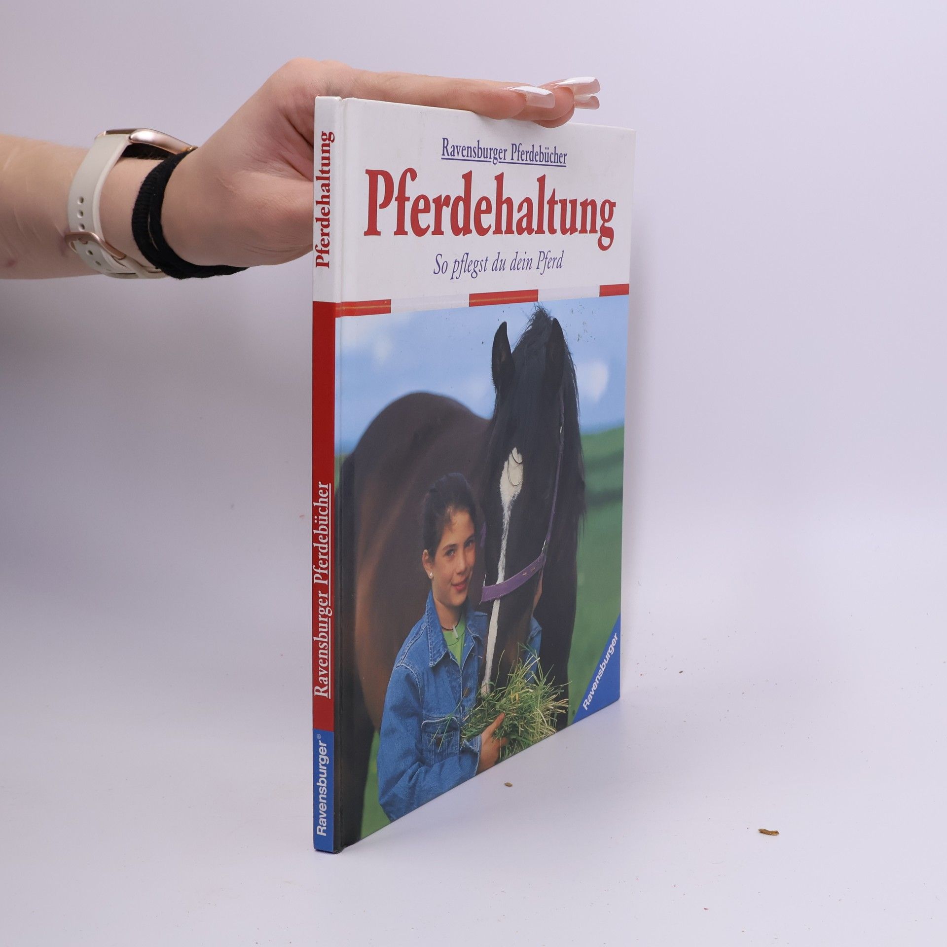 Pferdehaltung