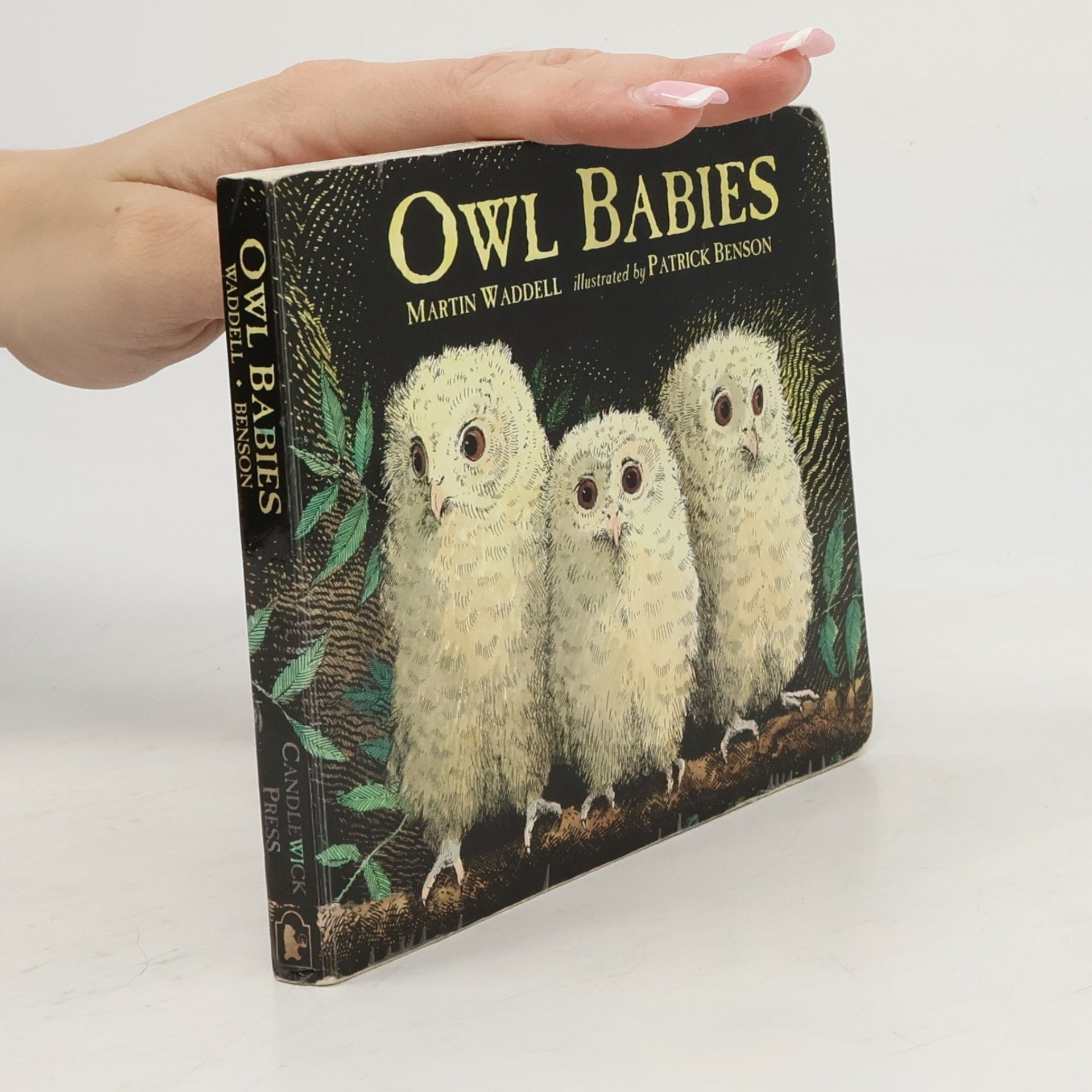 Martin Waddell Owl Babies