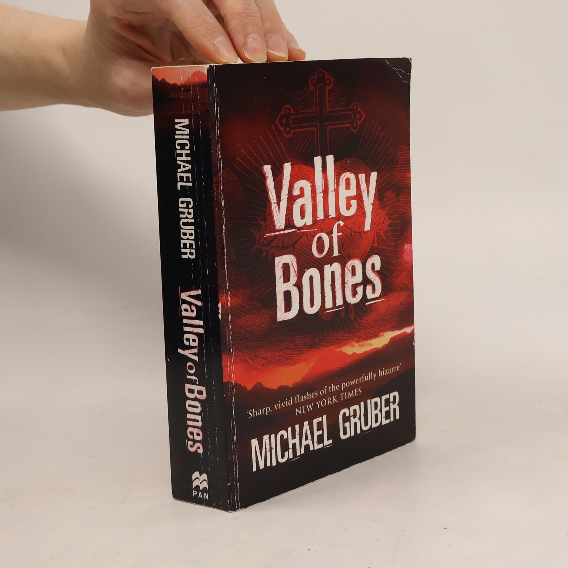 Michael Gruber Valley of Bones