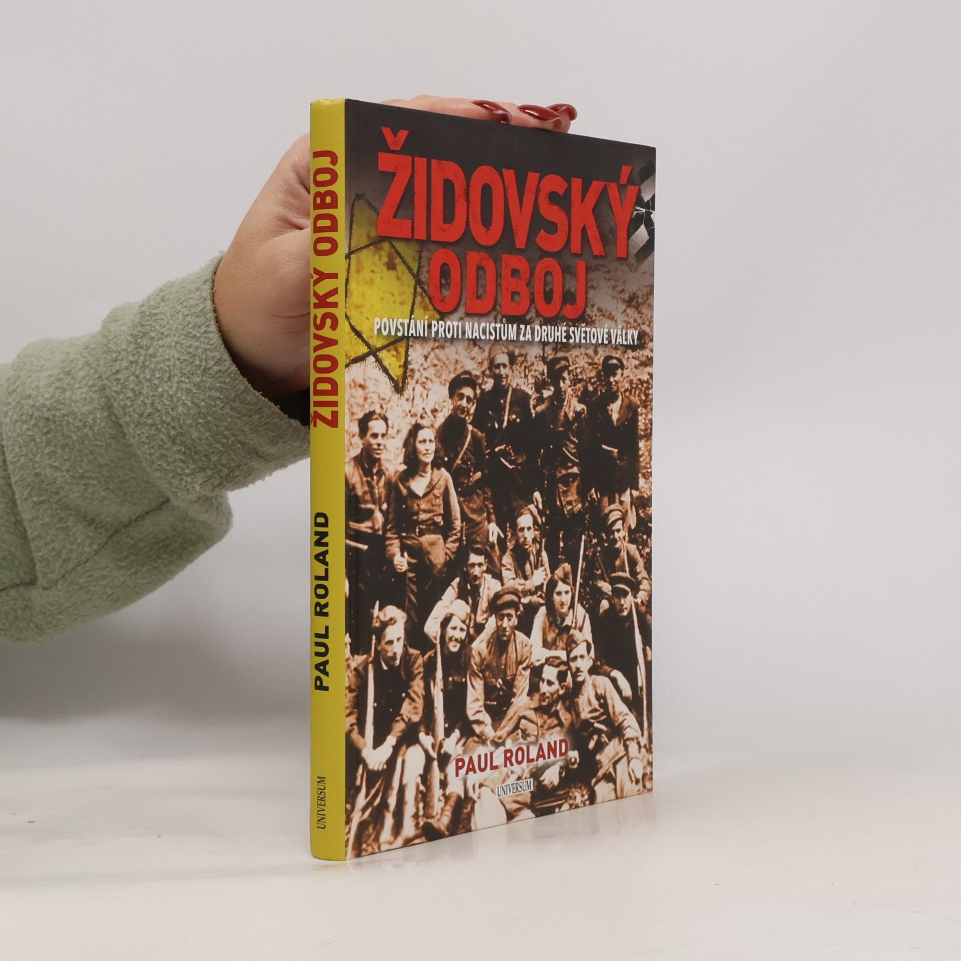 Paul Roland Židovský odboj: Povstání proti nacistům za druhé světové války