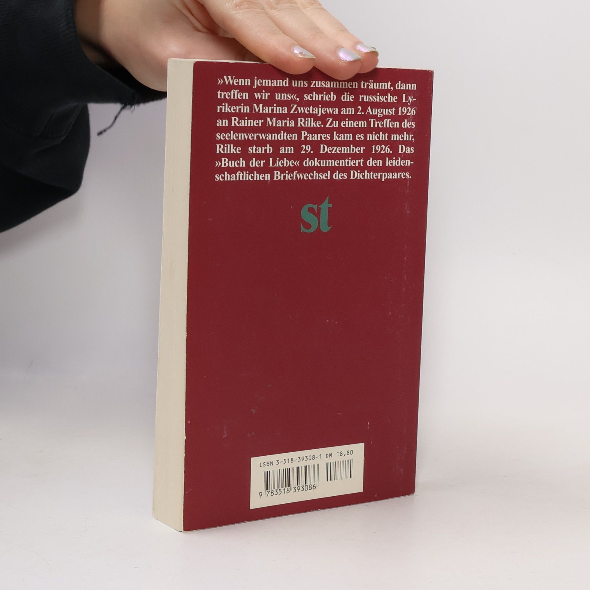 Rainer Maria Rilke Suhrkamp Taschenbuch: Ein Gespräch in Briefen