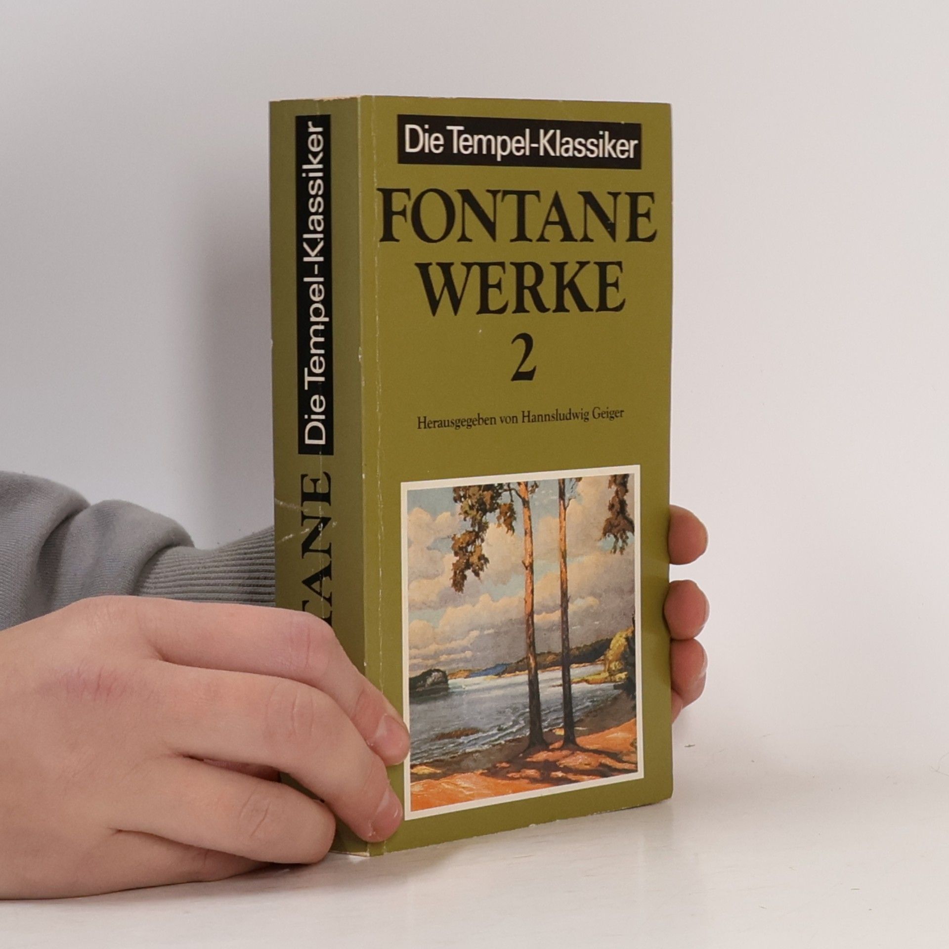 Theodor Fontane Fontane Werke 2