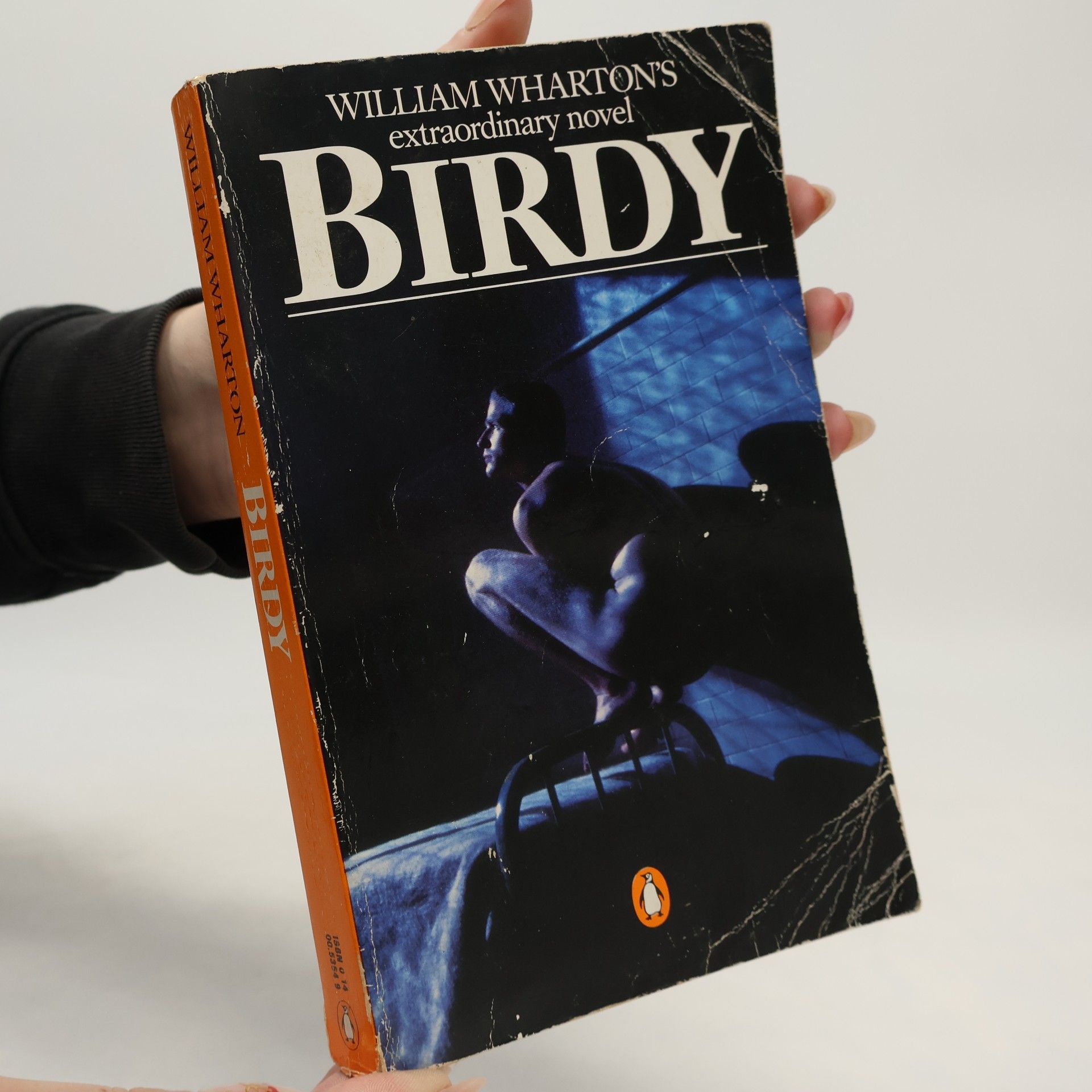 William Wharton Birdy