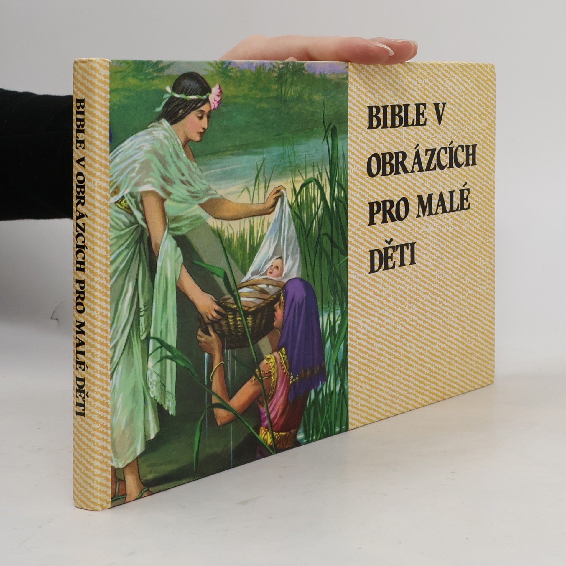 Bible v obrázcích pro malé děti