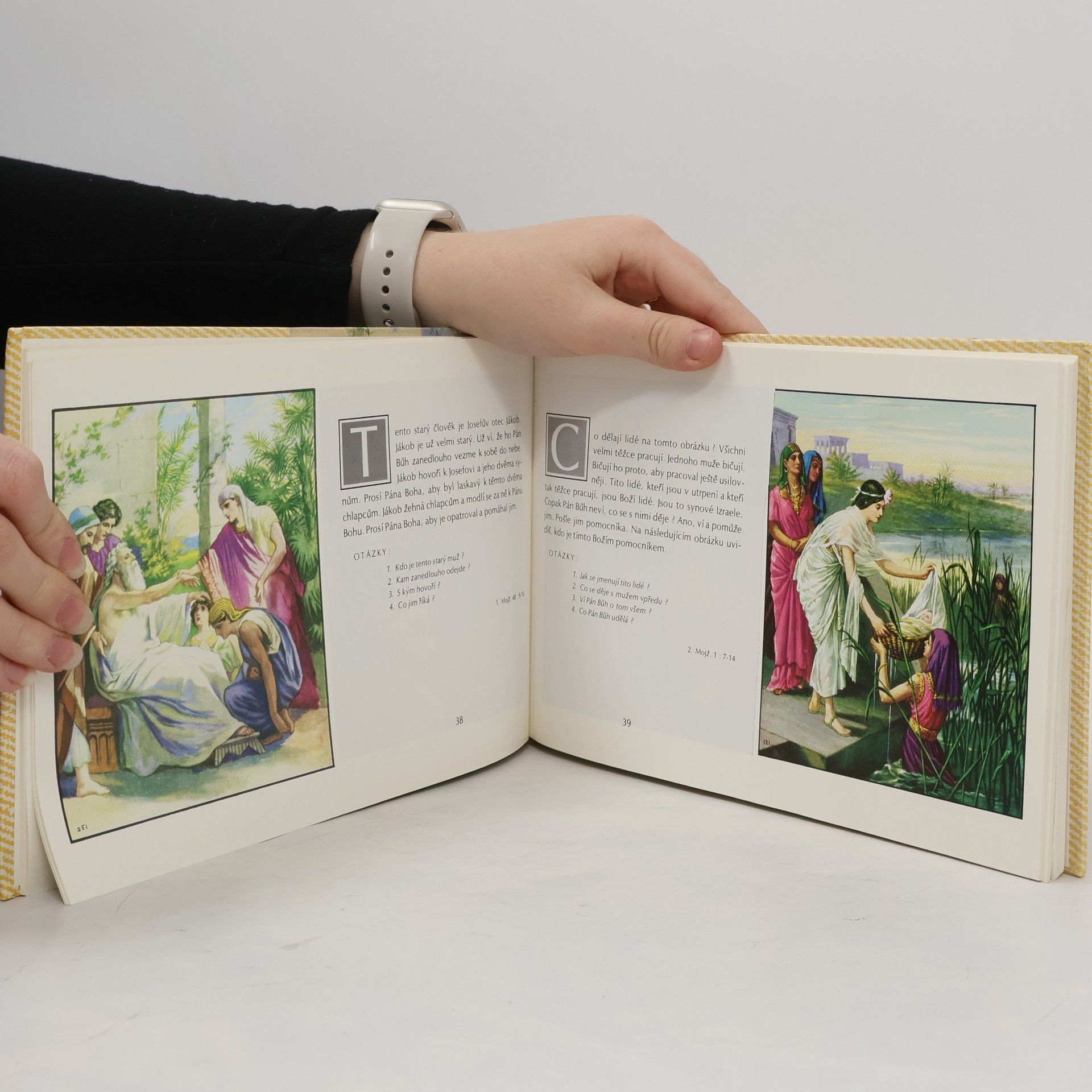 Kenneth N. Taylor Bible v obrázcích pro malé děti