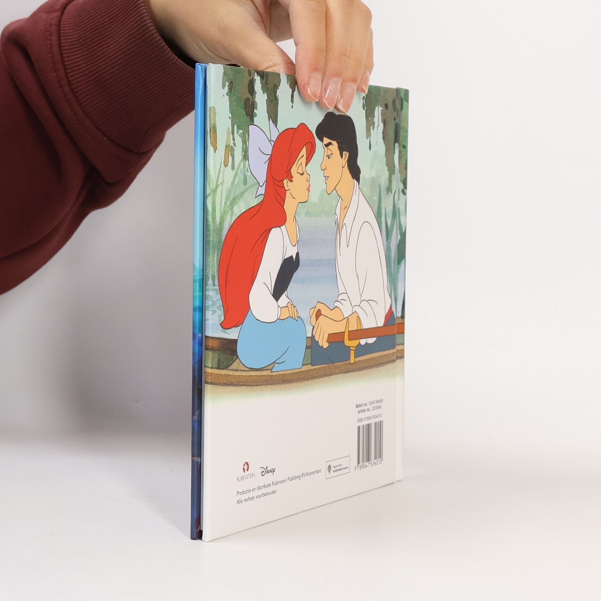 Sue DiCicco WALT Disney's De Kleine Zeemeermin