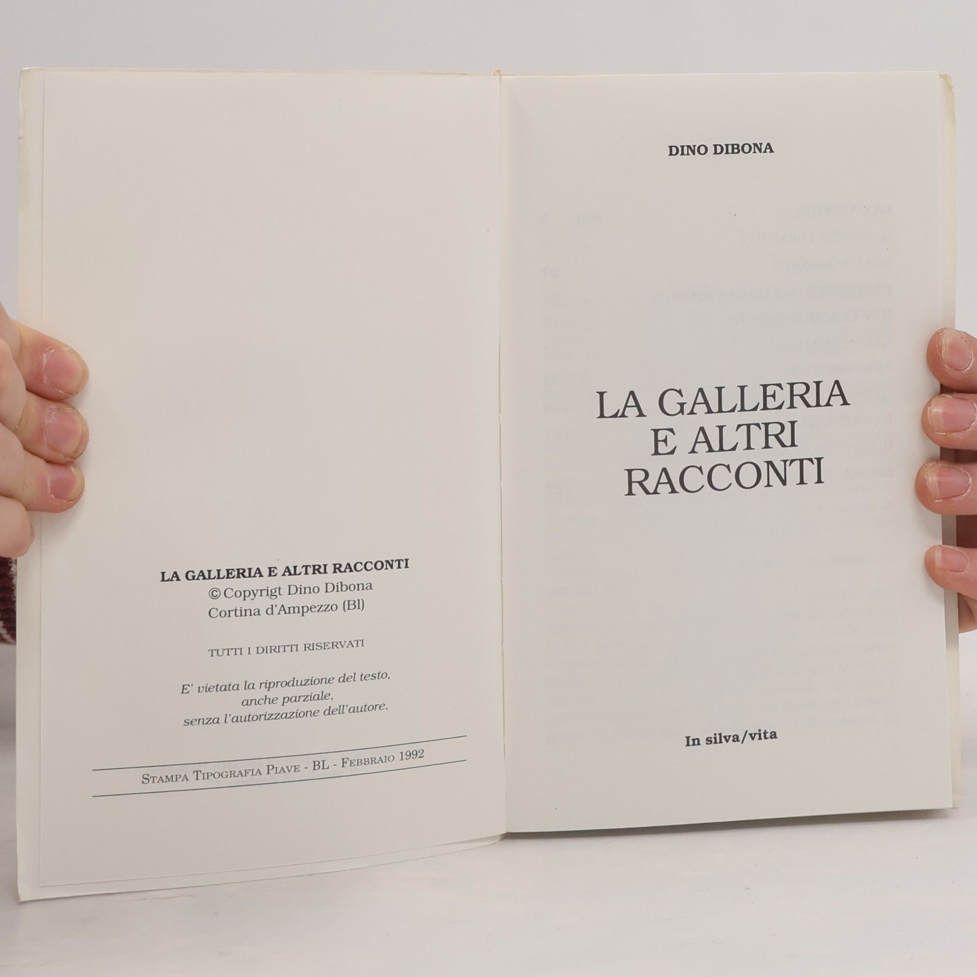 Dino Dibona La Galleria e altri racconti