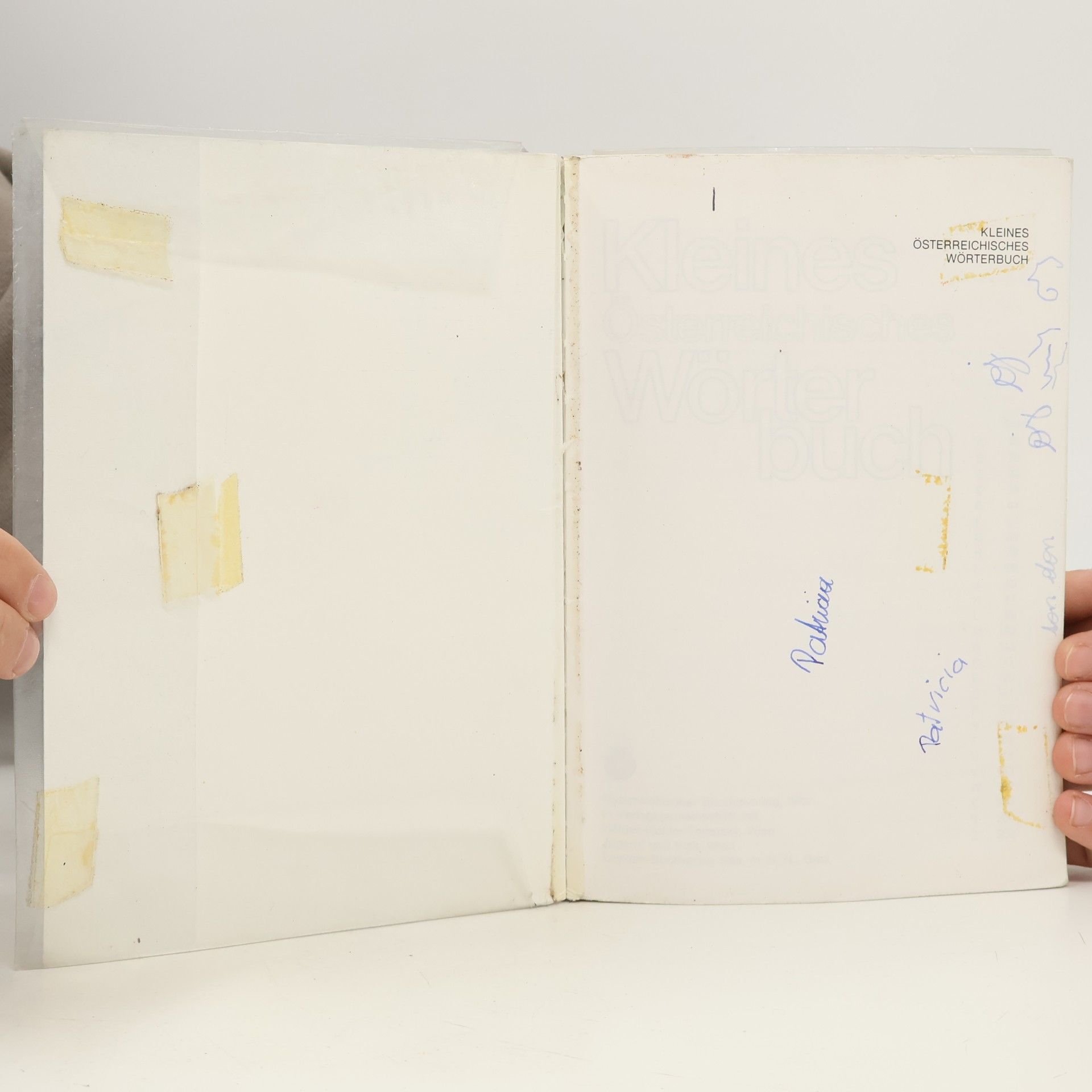 Autores varios Kleines Österreichisches Wörterbuch