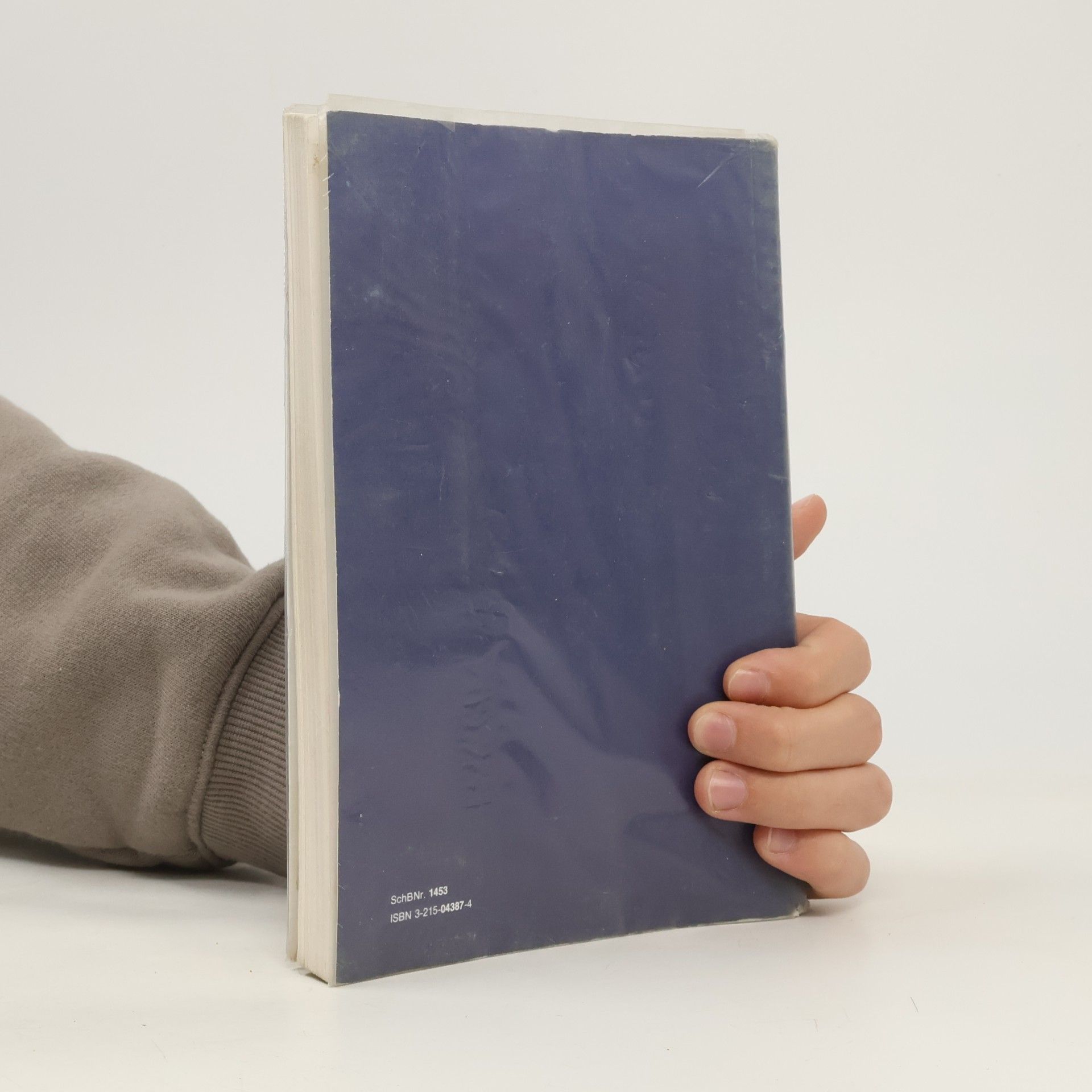 Autores varios Kleines Österreichisches Wörterbuch
