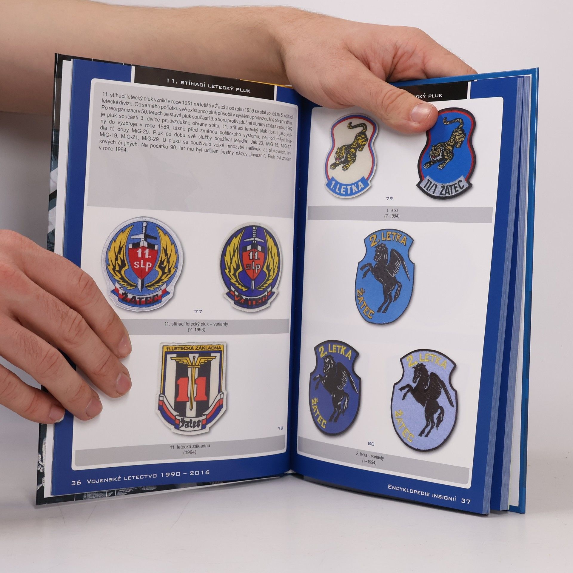Robert Speychal Vojenské letectvo 1990 - 2016, Československá armáda, Armáda České republiky