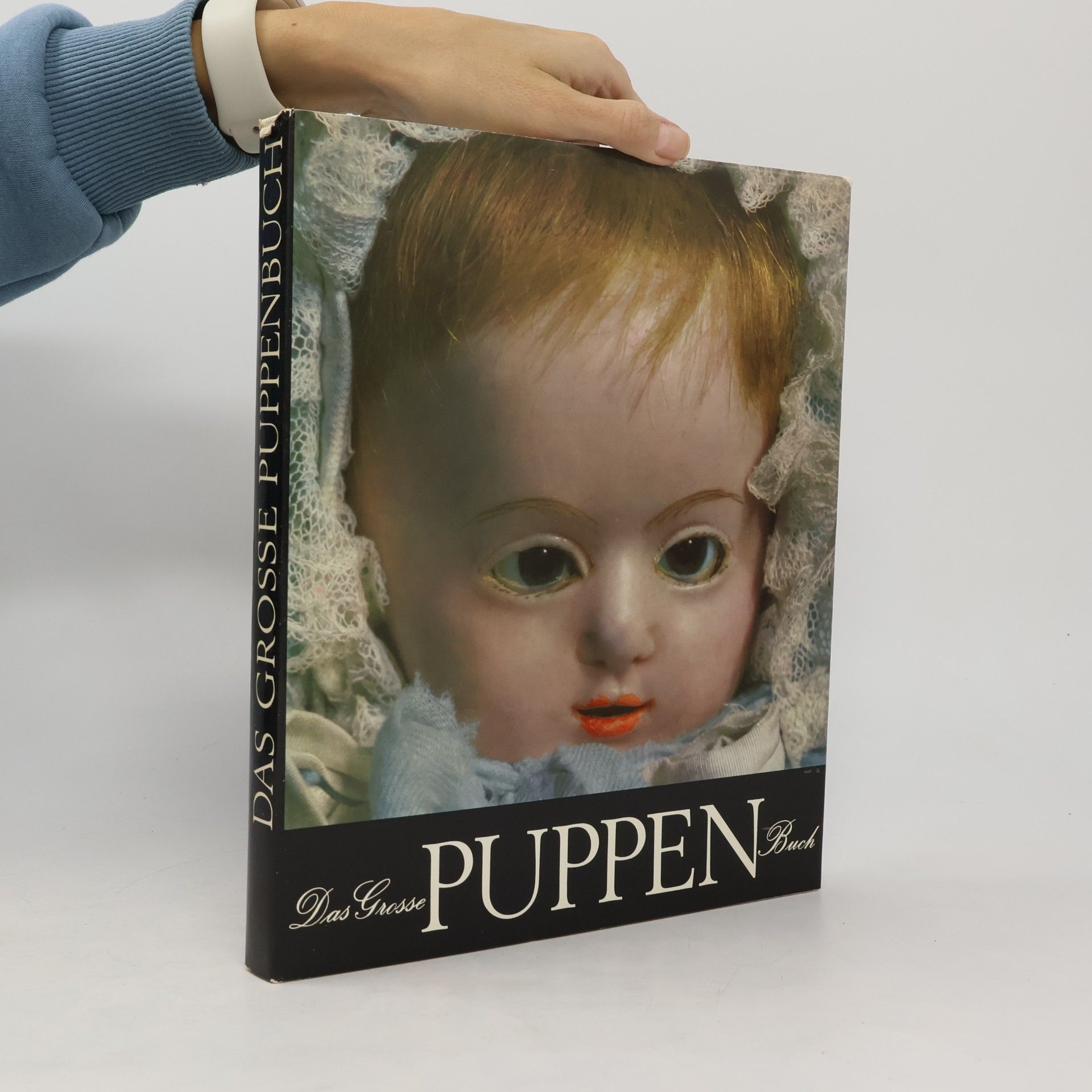 Das grosse Puppenbuch