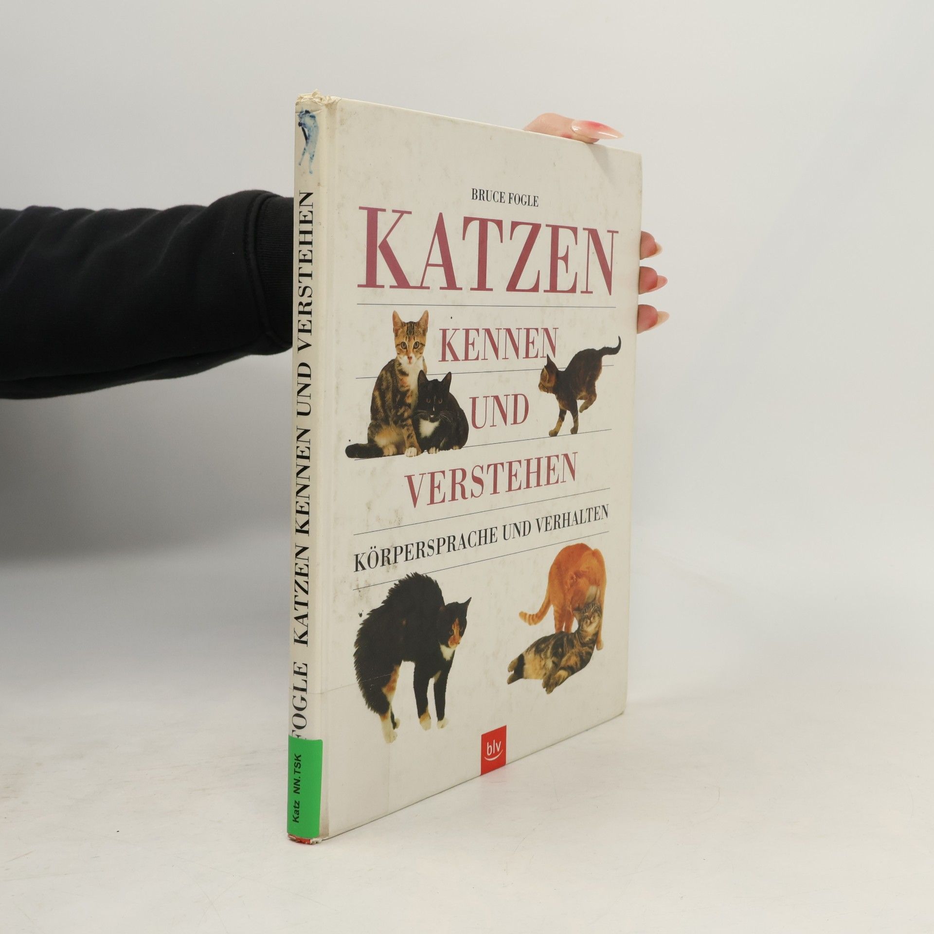 Bruce Folge Katzen kennen und verstehen