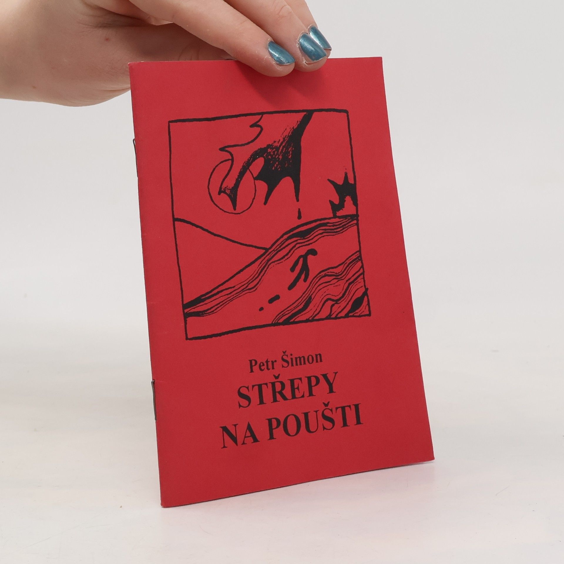 Petr Šimon Střepy na poušti