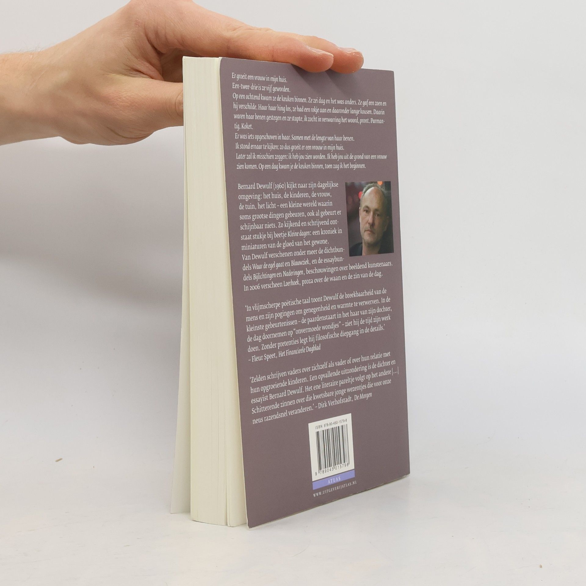 Bernard Dewulf Kleine dagen