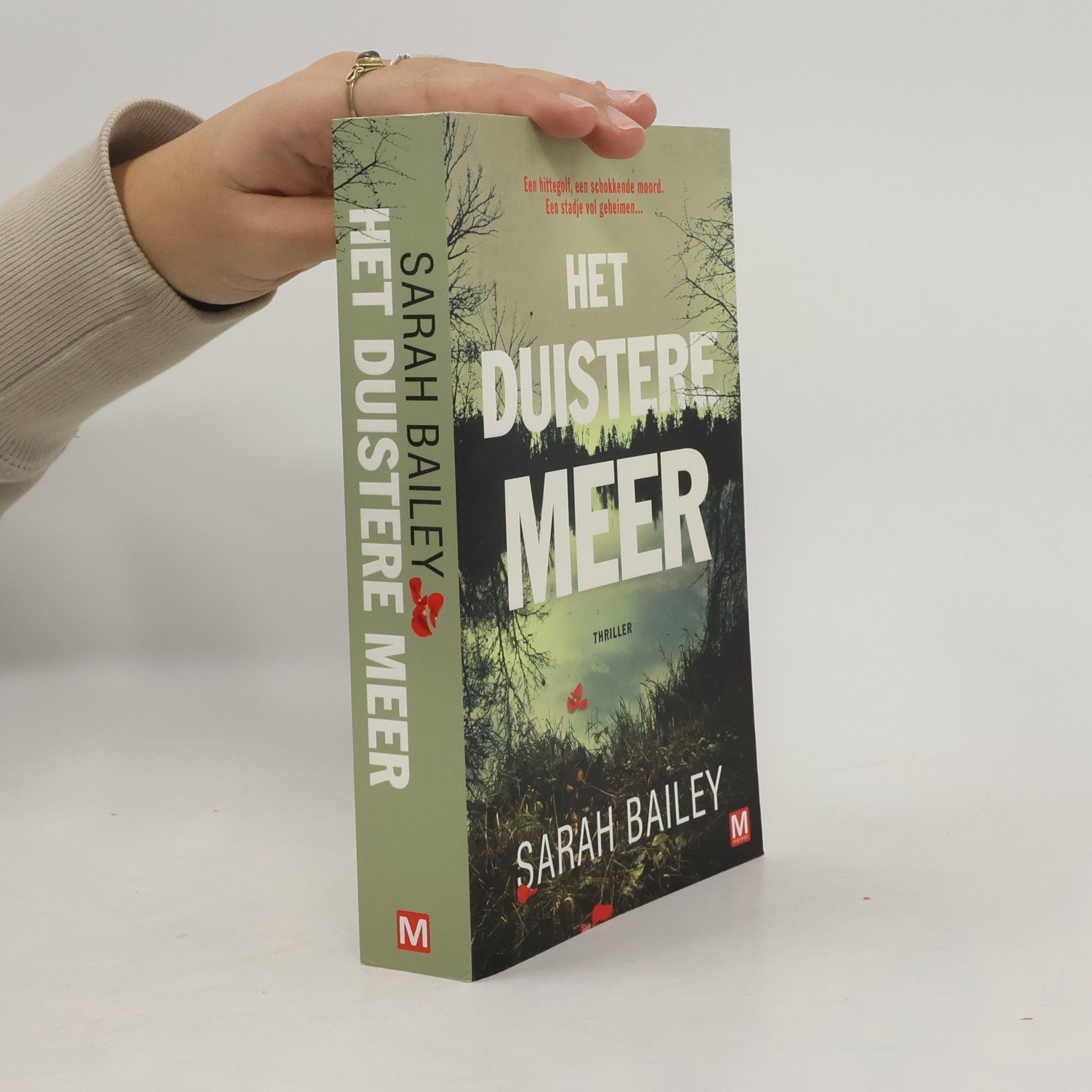 Sarah Bailey Het duistere meer