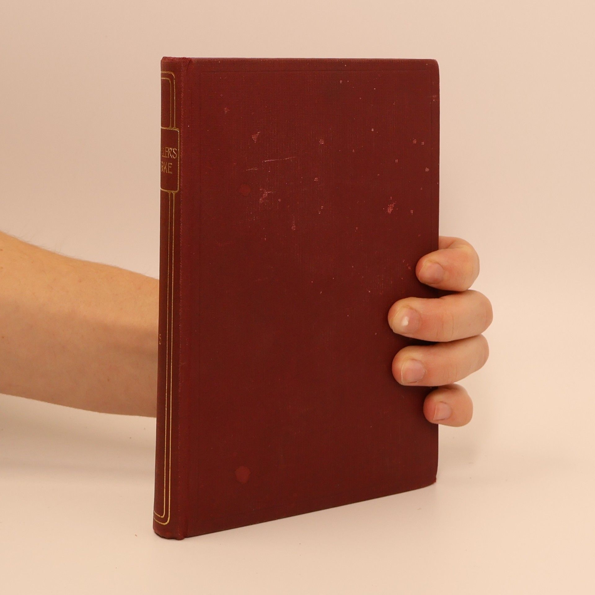 Schillers Werke 15