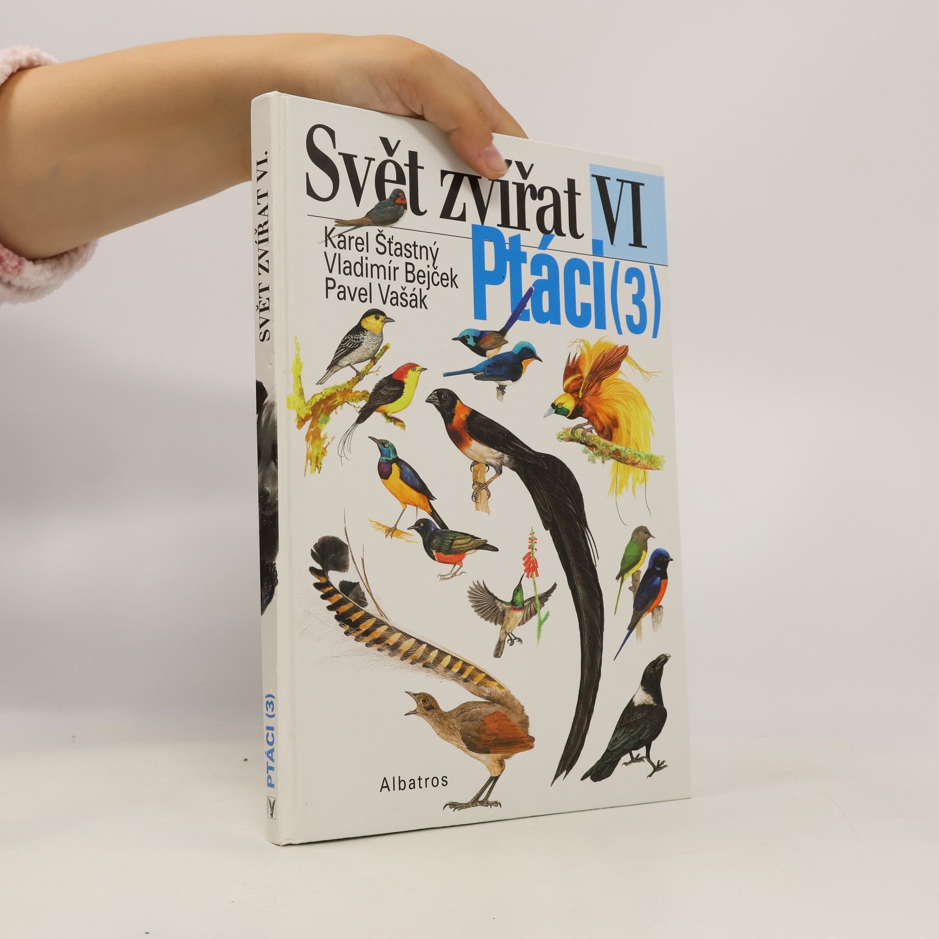 Svět zvířat : VI. Ptáci (3) Pěvci