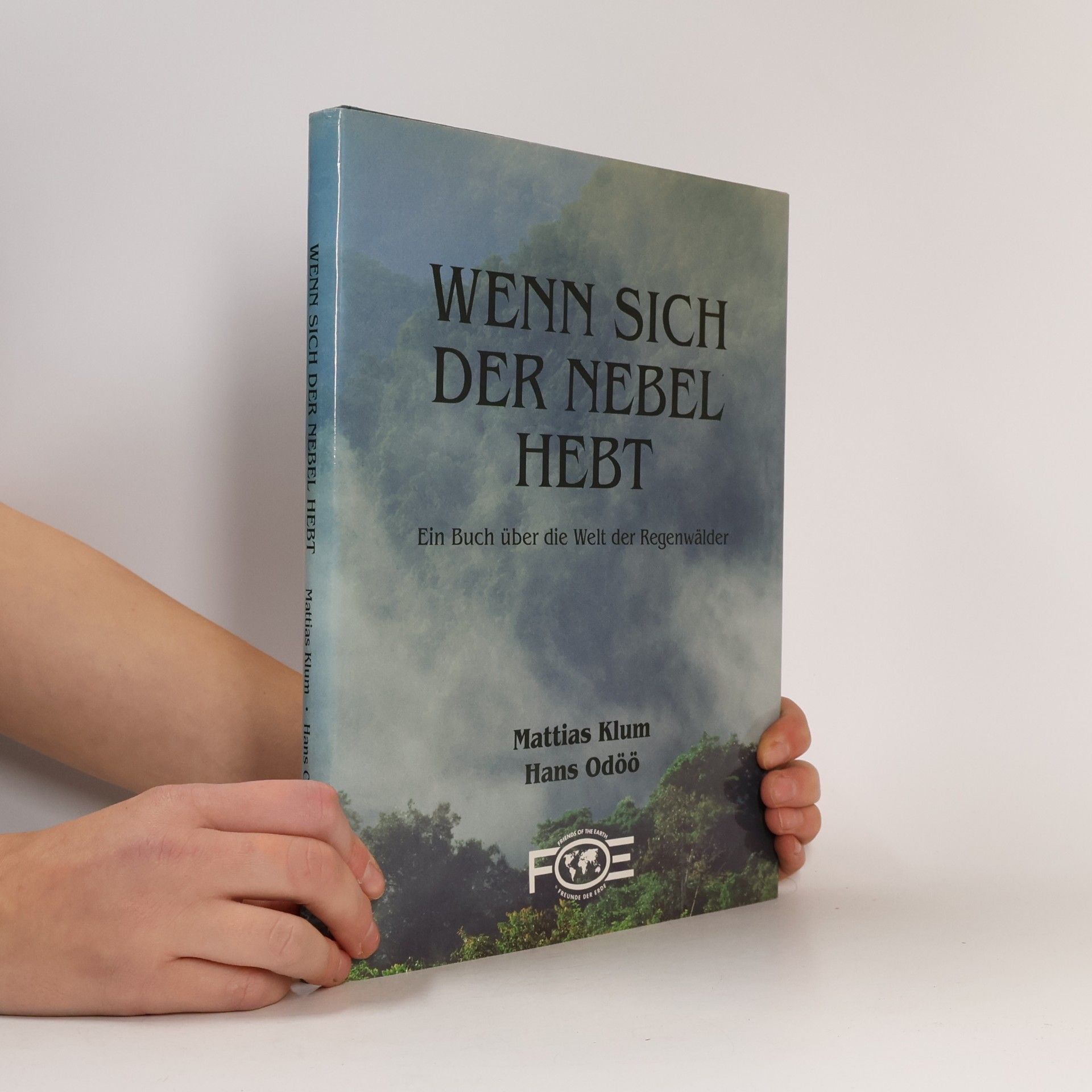 Wenn sich der Nebel hebt