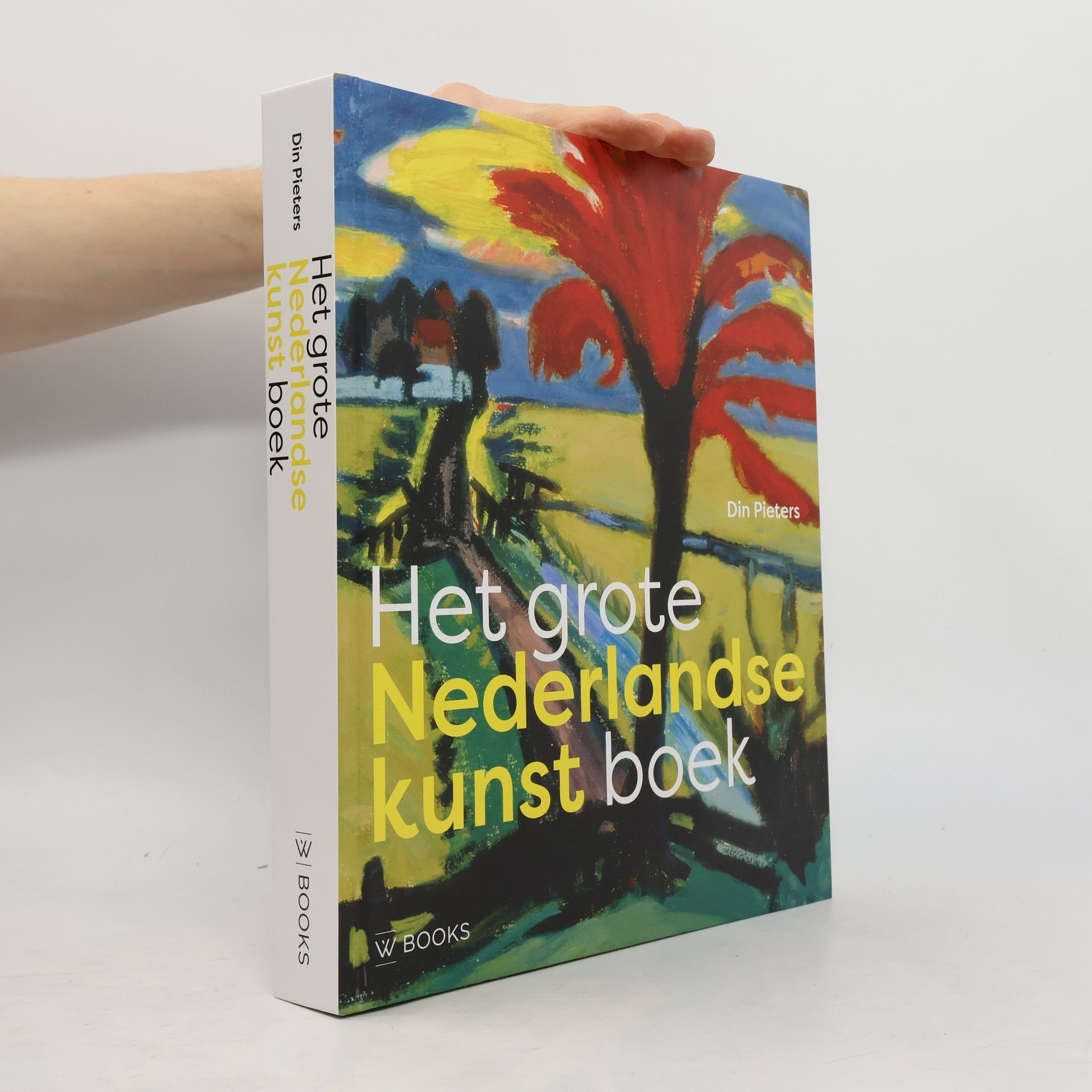 Din Pieters Het grote Nederlandse kunst boek