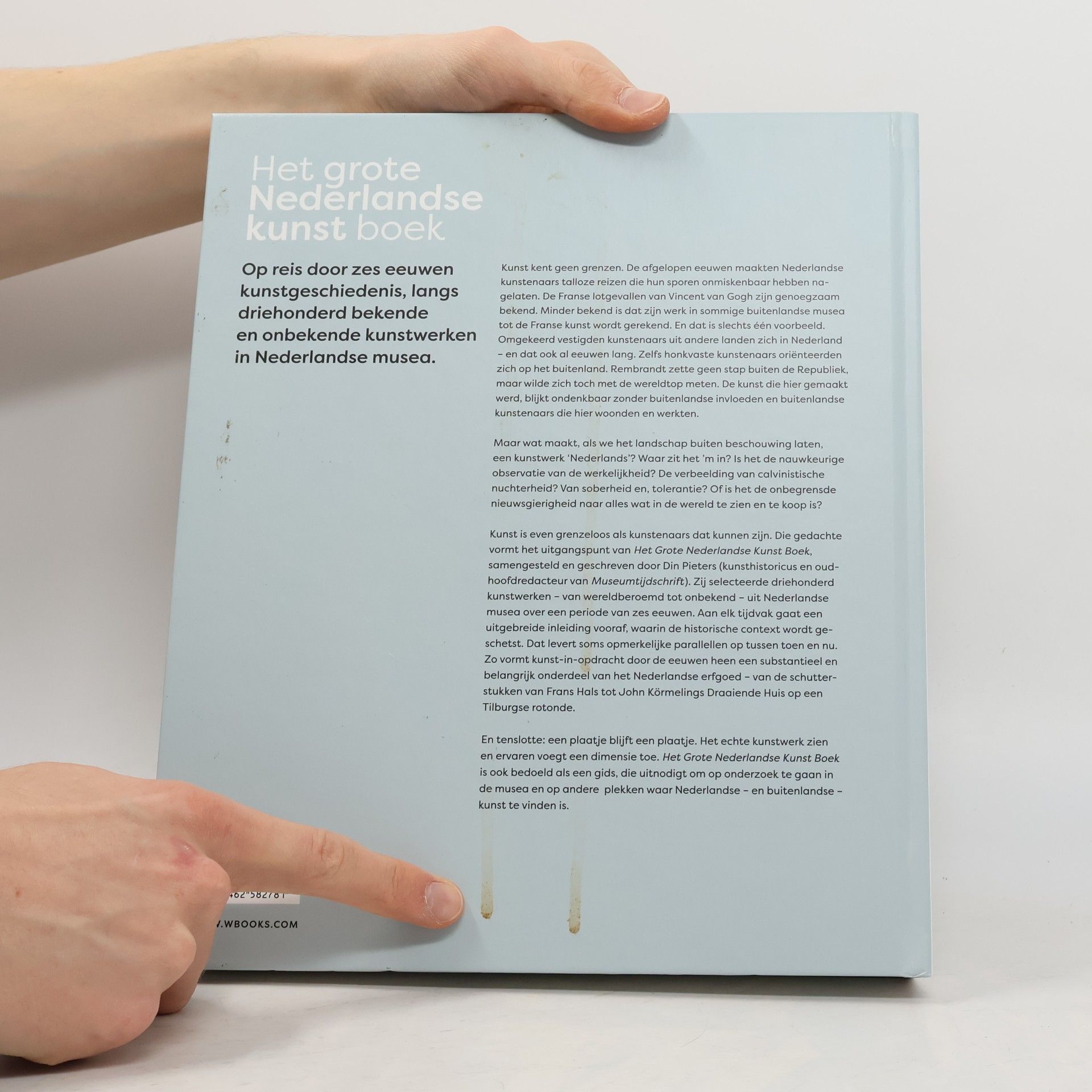 Din Pieters Het grote Nederlandse kunst boek