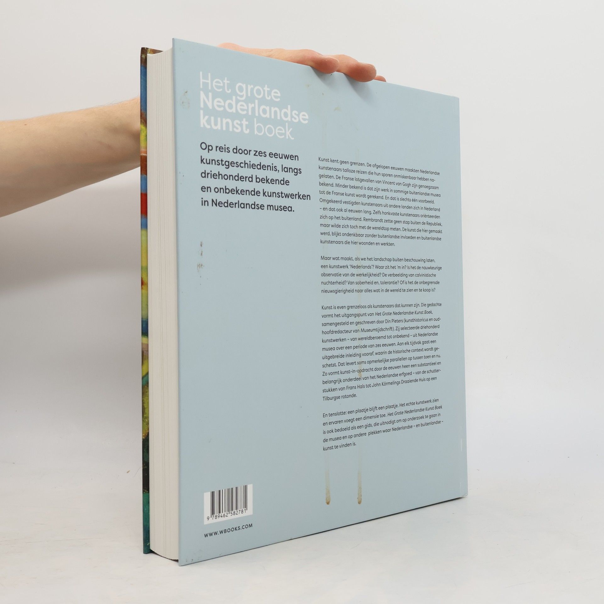 Din Pieters Het grote Nederlandse kunst boek