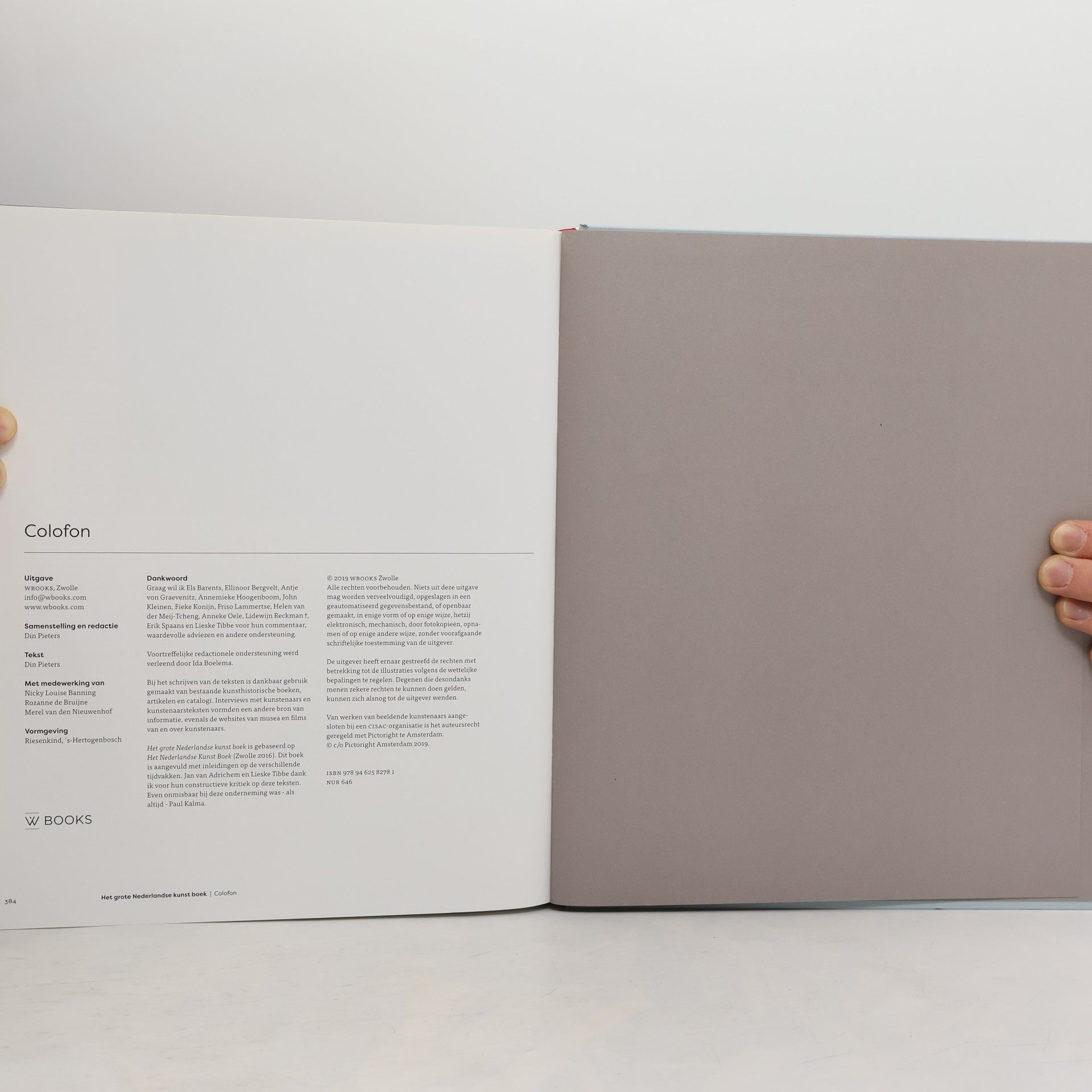 Din Pieters Het grote Nederlandse kunst boek