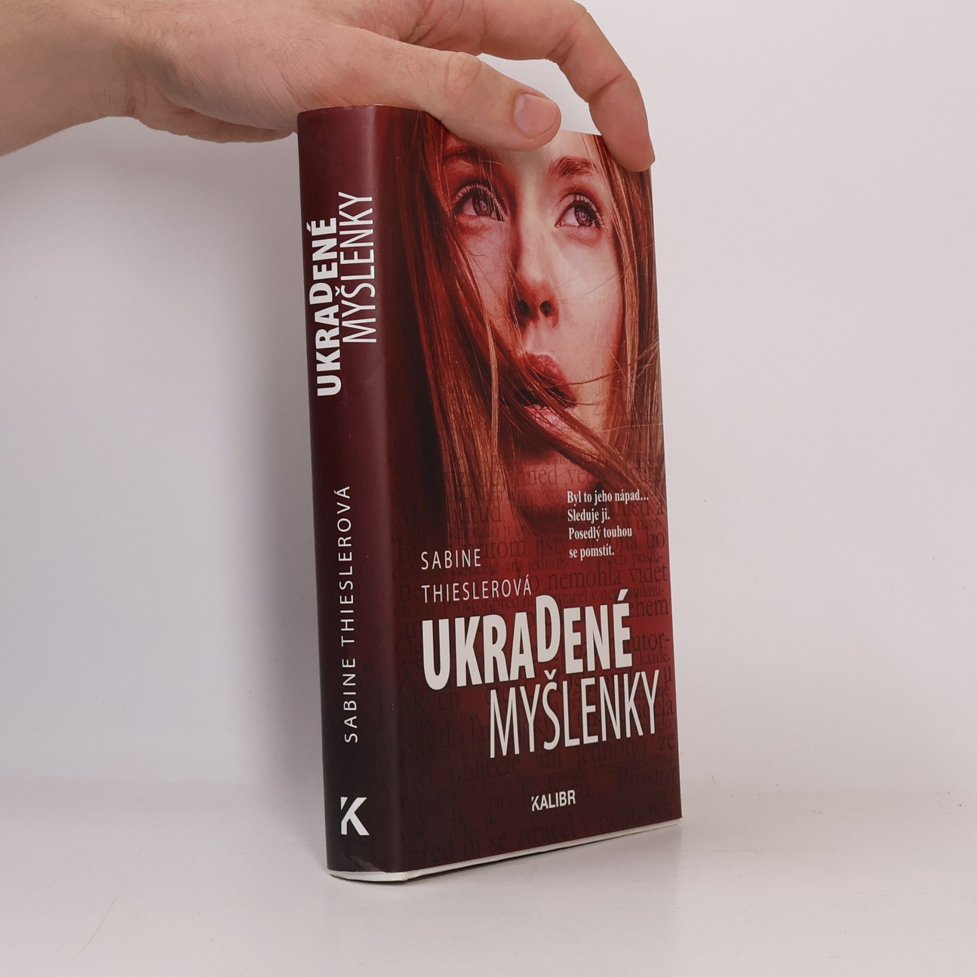 Sabine Thiesler Ukradené myšlenky