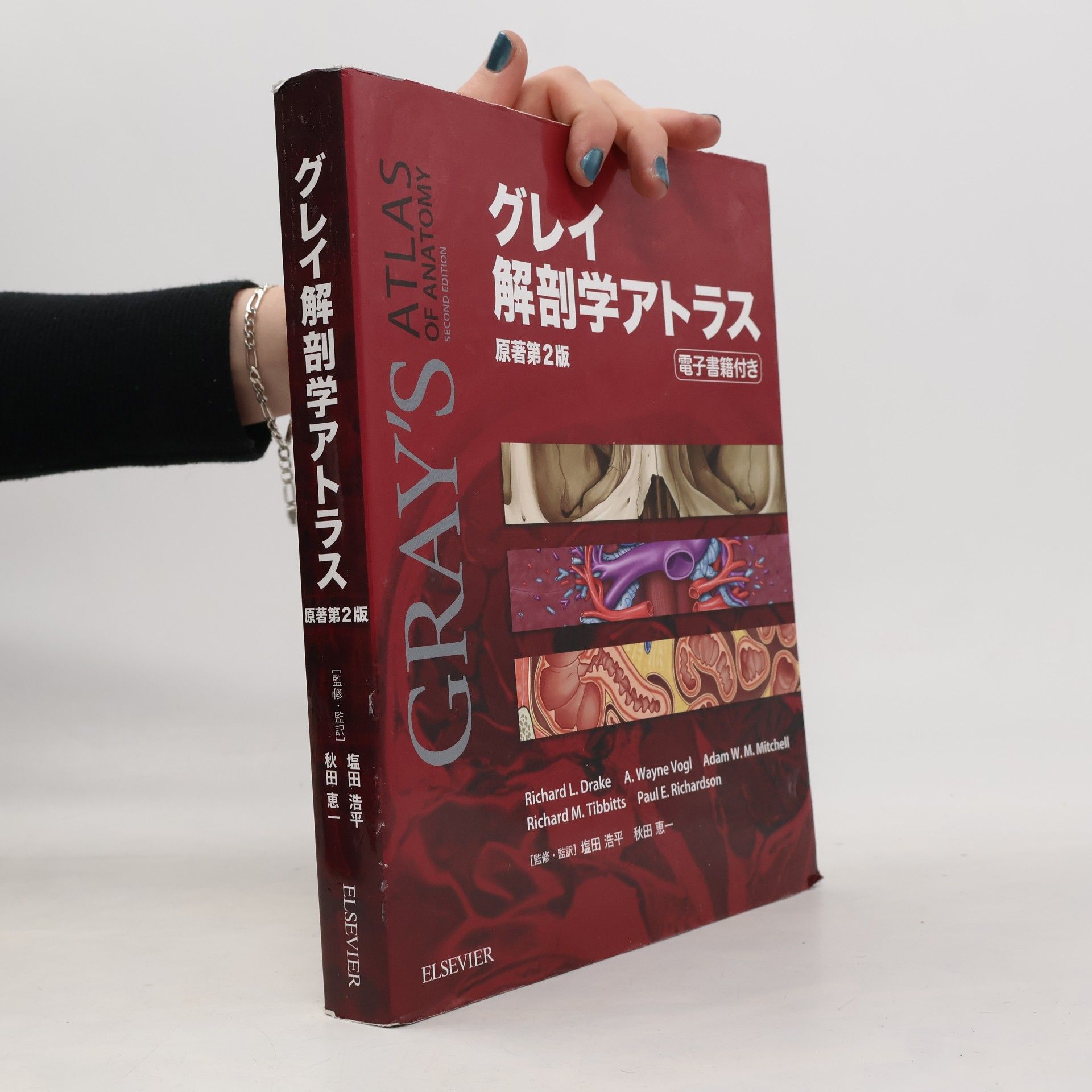 グレイ解剖学アトラス 原著第2版 電子書籍(日本語版)付