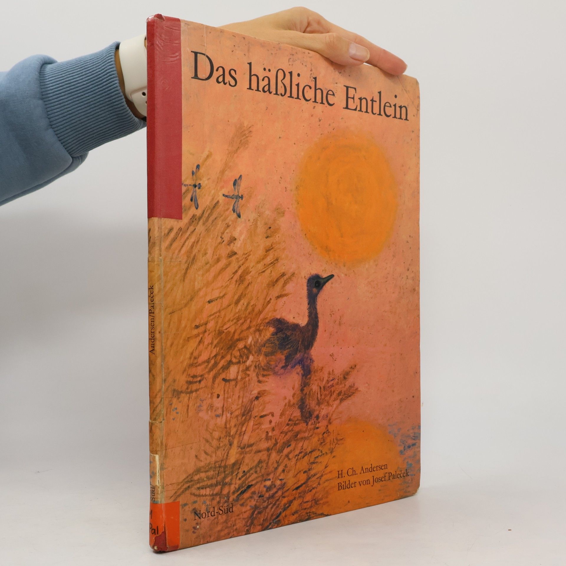 Das hässliche Entlein (großformatig)