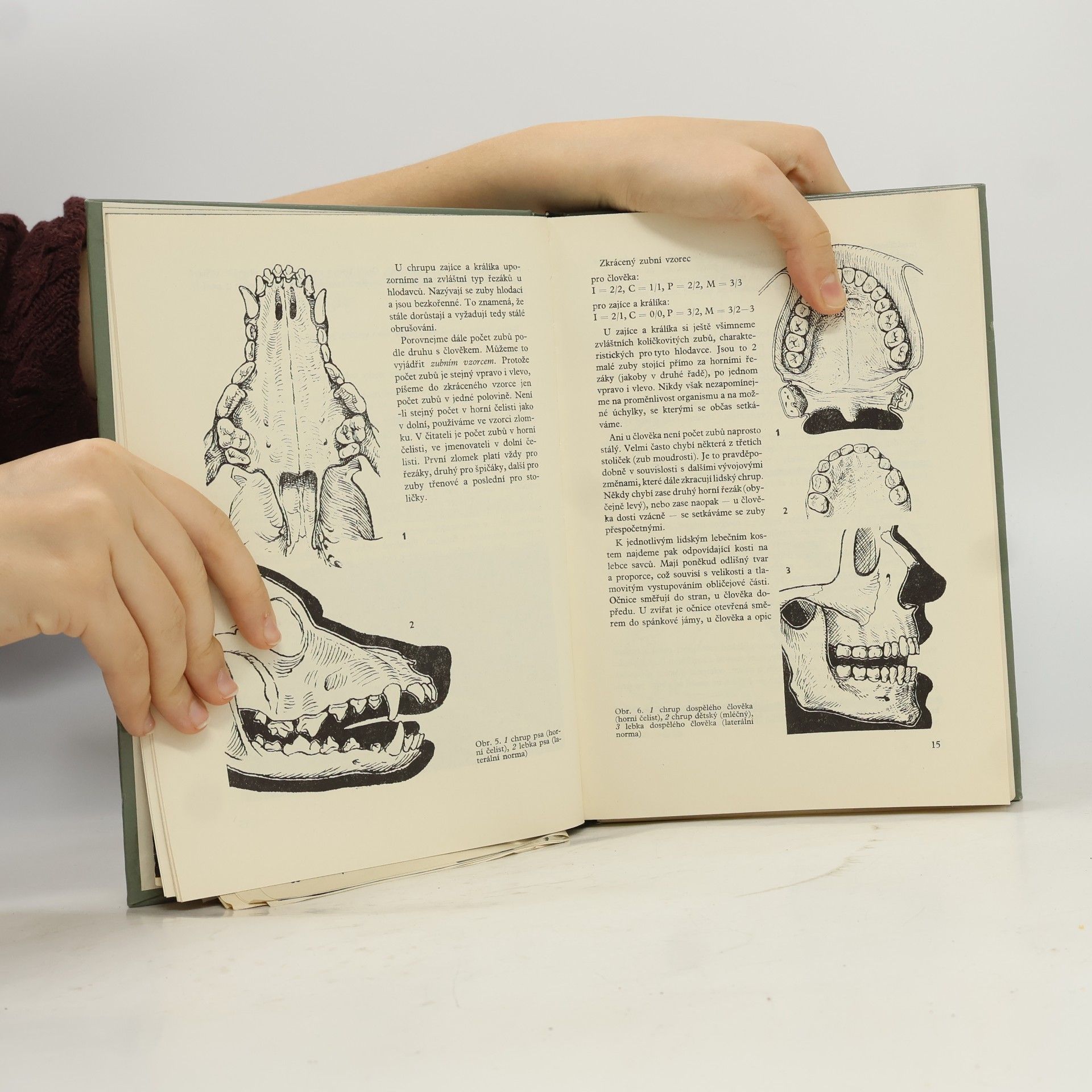 Various authors Praktická cvičení ze somatologie a antropologie