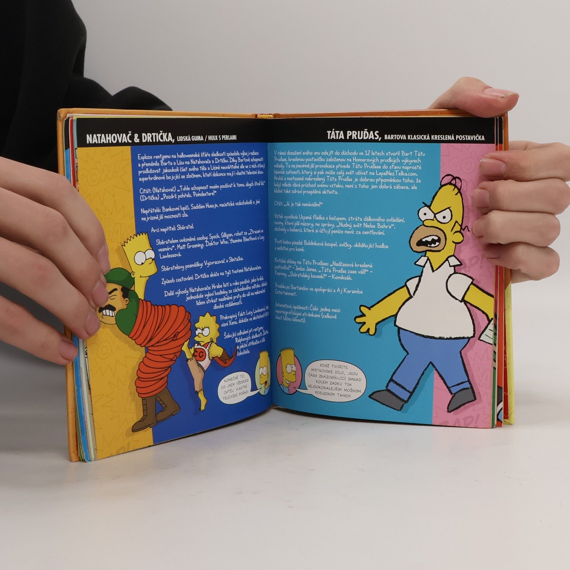 Matt Groening Bartova kniha