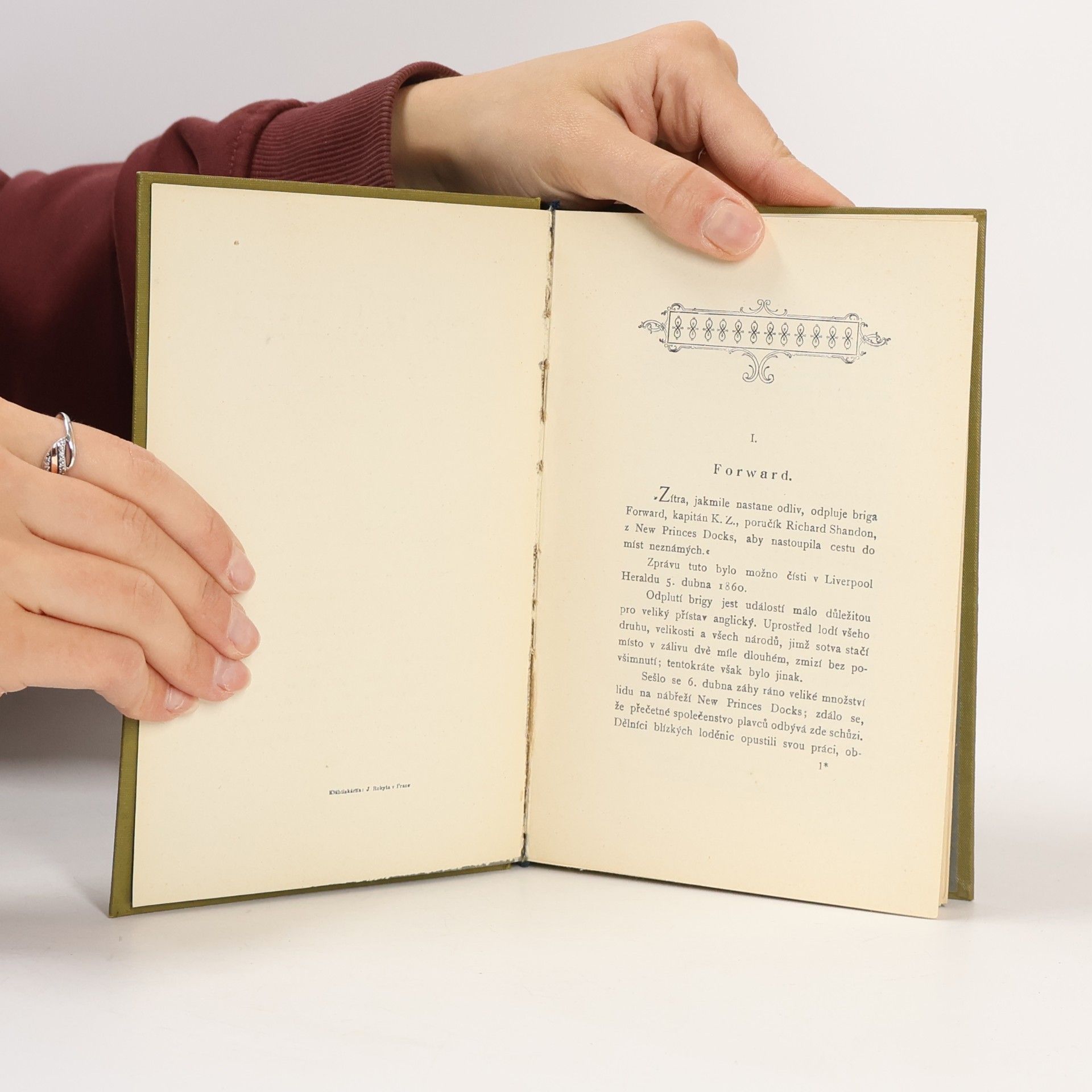 Jules Verne Příhody kapitána Hatterasa I