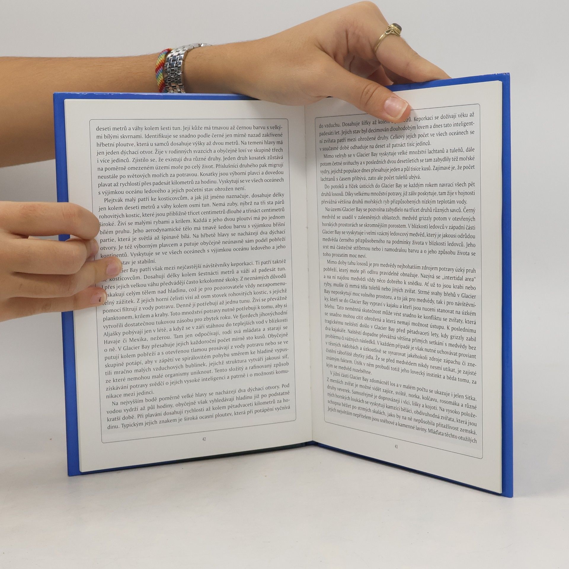 Miroslav Podhorský Ledová perla Aljašky