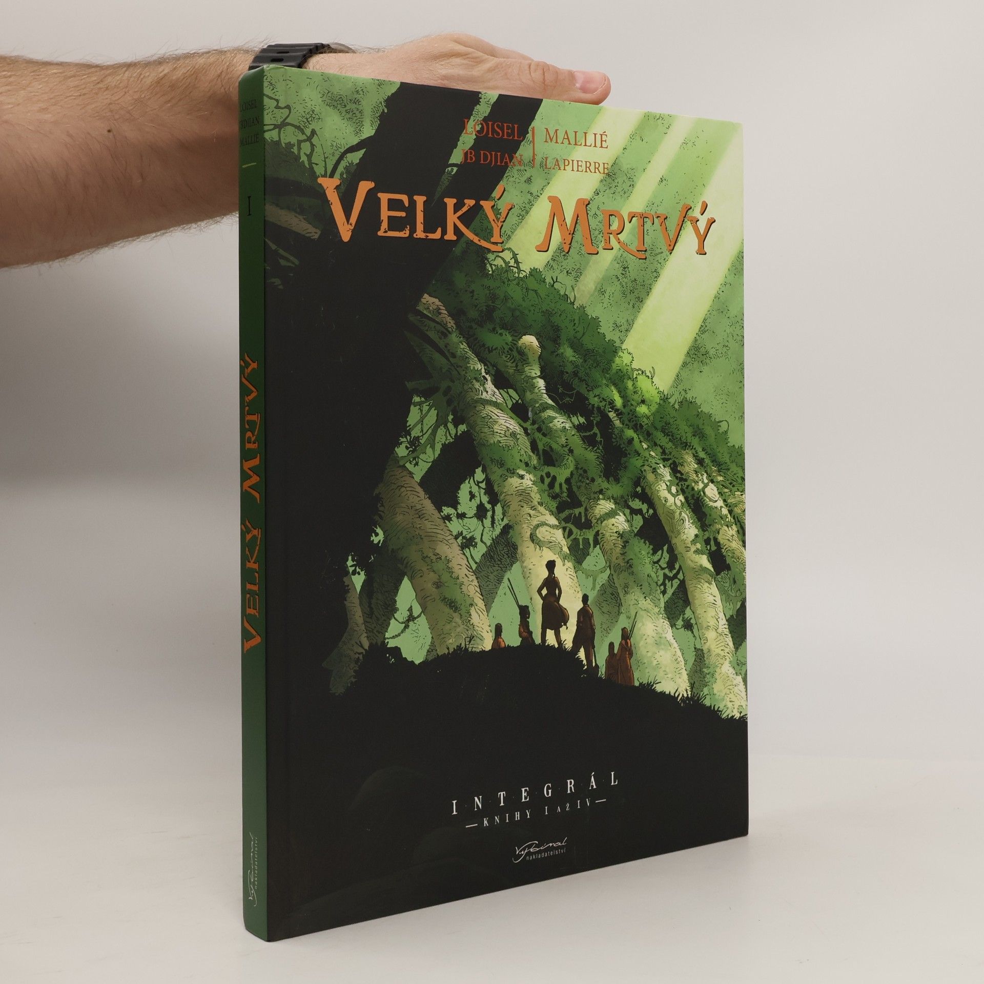 Velký mrtvý : integrál
