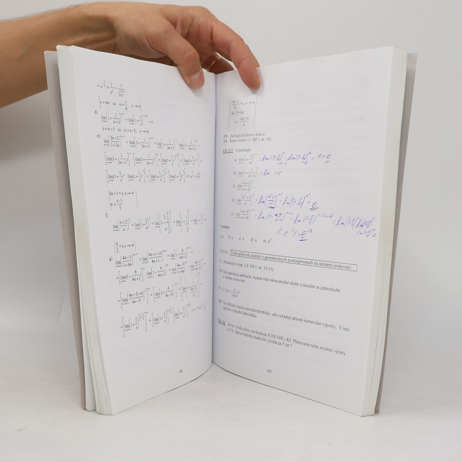 Renata Cabrnochova Průvodce předmětem matematika I (první část)