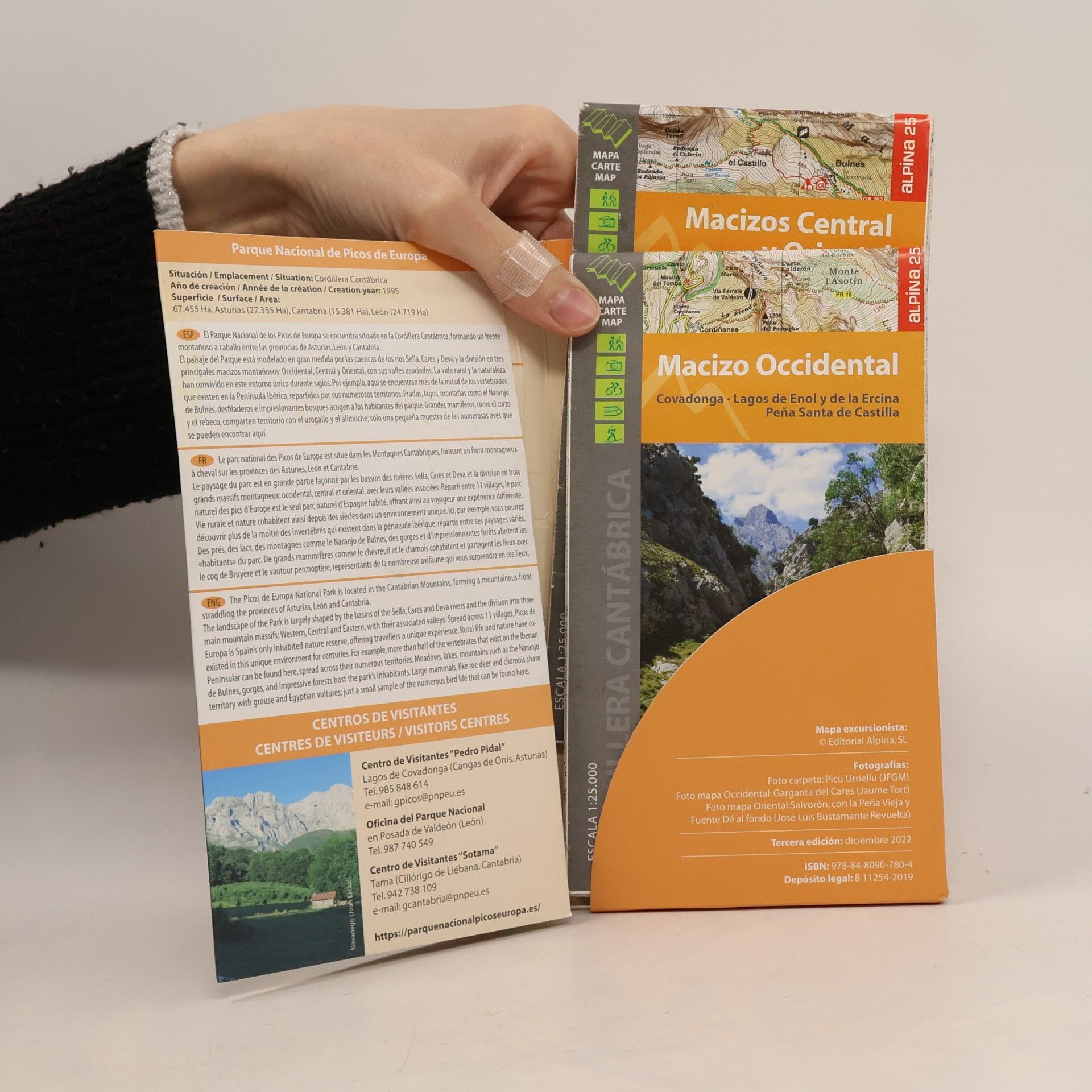 Kolektiv autorů Picos de Europa. Parque Nacional 1 : 25 000