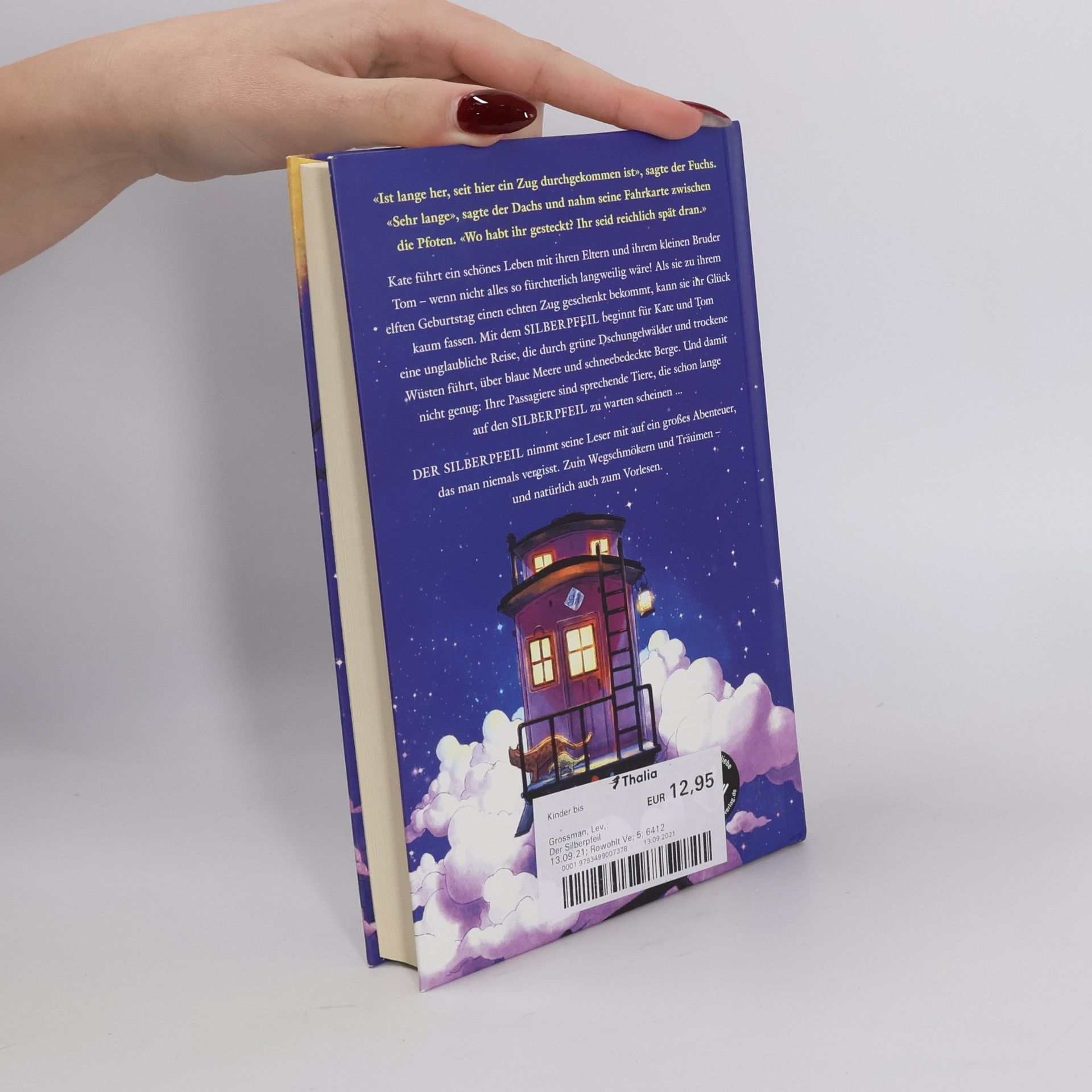 Lev Grossman Der Silberpfeil